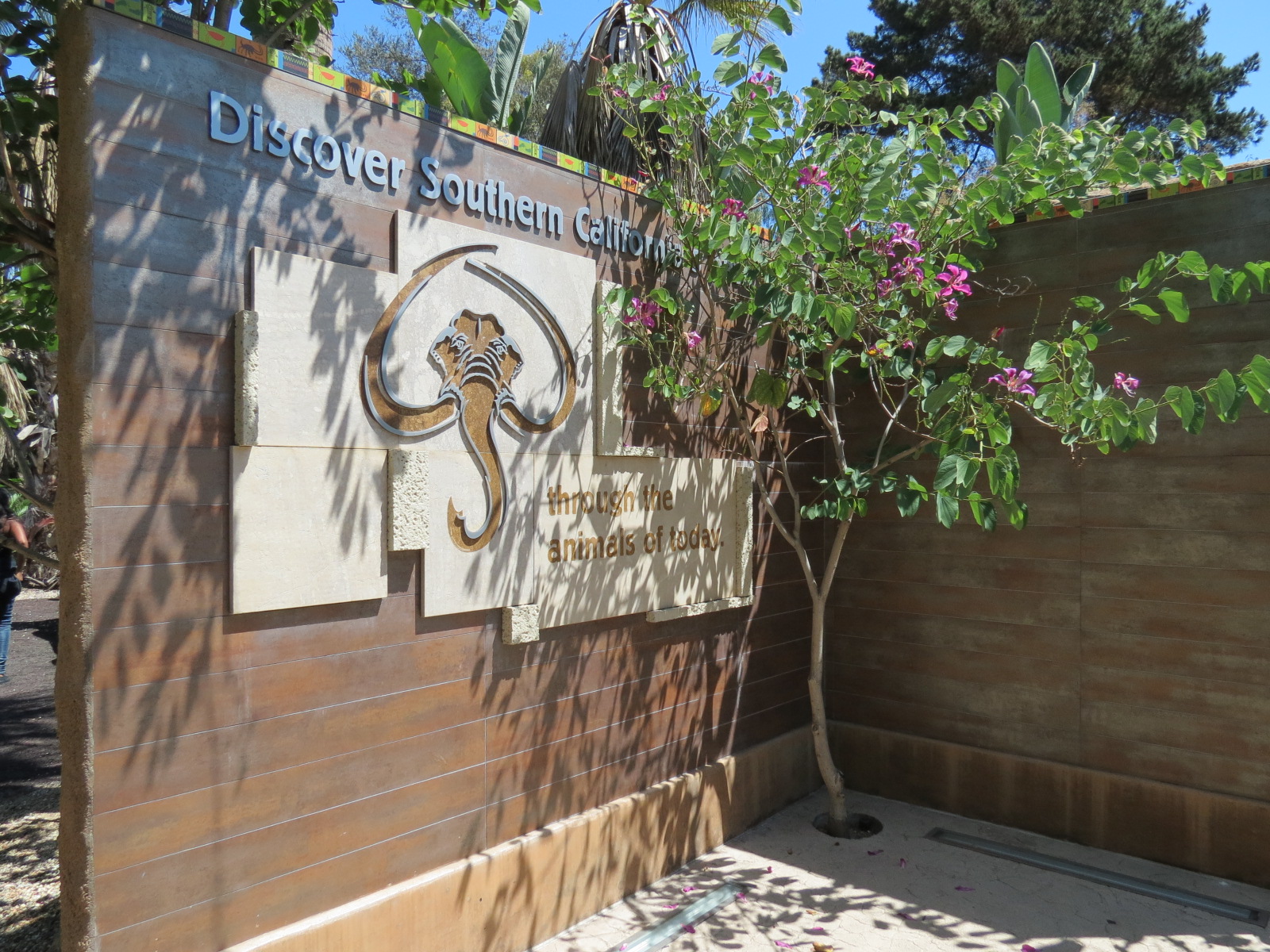 Elephant Odyssey - Entry Portal