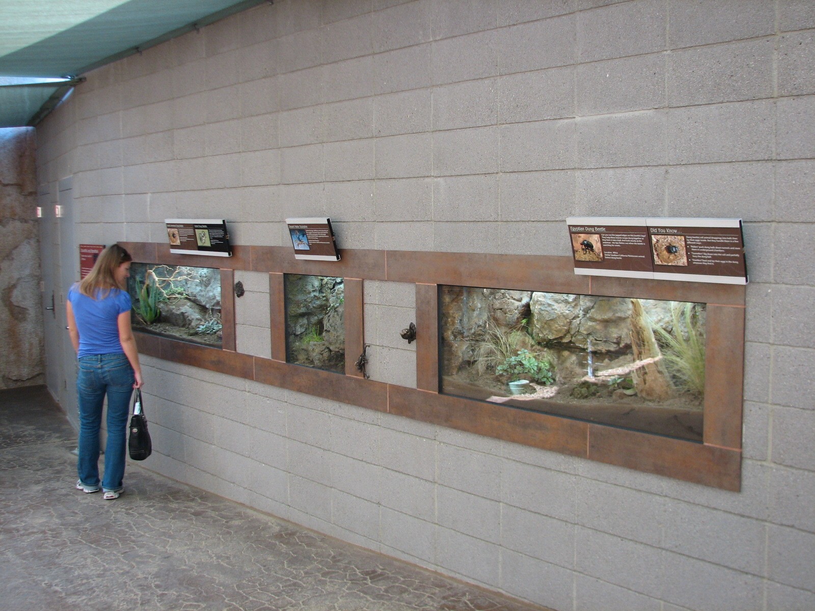 Elephant Odyssey - Exhibits for Egyptian Dung Beetles, Scorpions