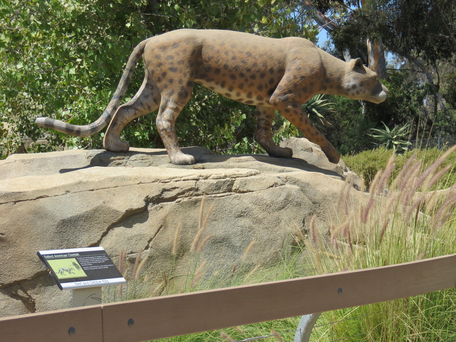 Elephant Odyssey - Extinct American Cheetah Statue