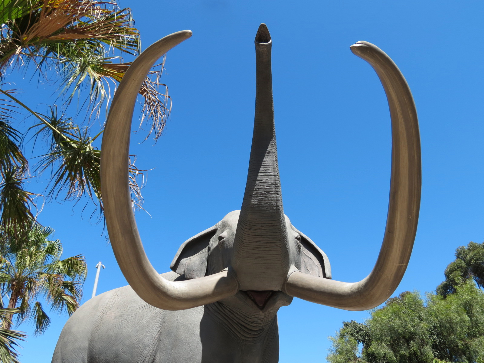 Elephant Odyssey - Extinct Columbian Mammoth Statues