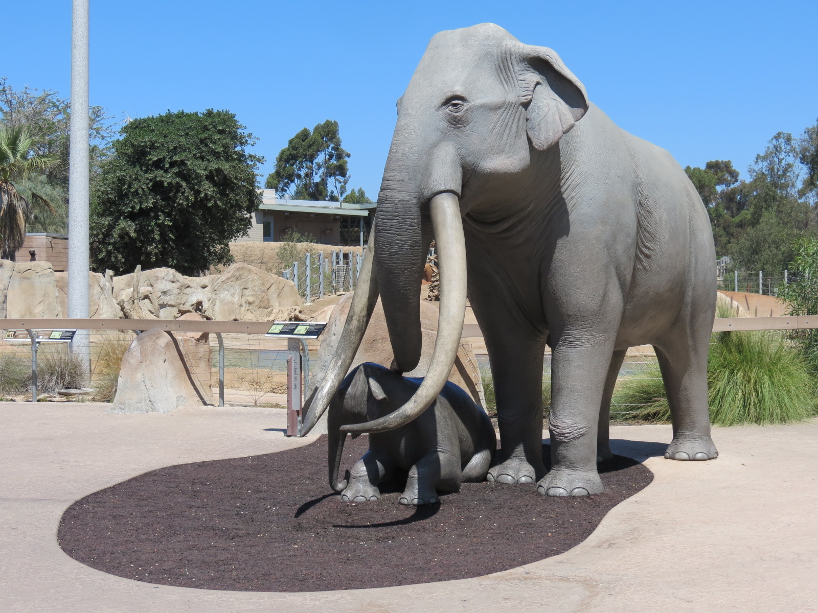 Elephant Odyssey - Extinct Columbian Mammoth Statues