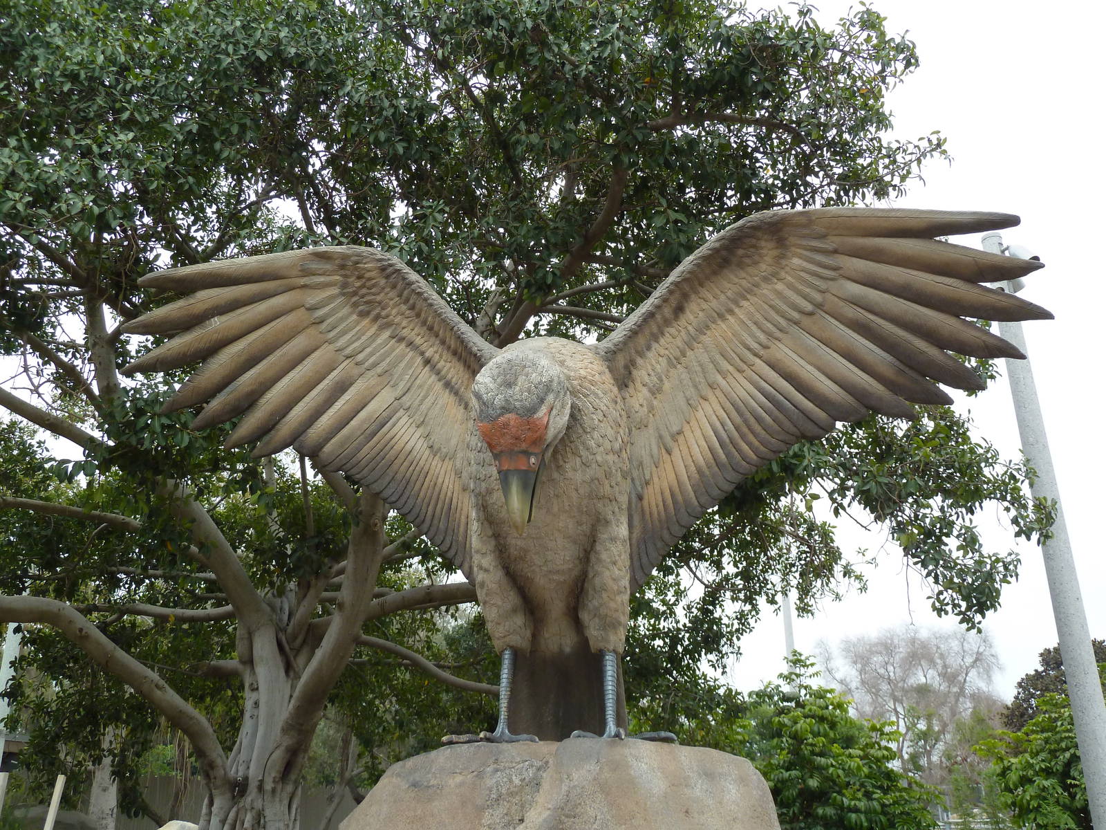 Elephant Odyssey - Extinct Merriam's Teratorn