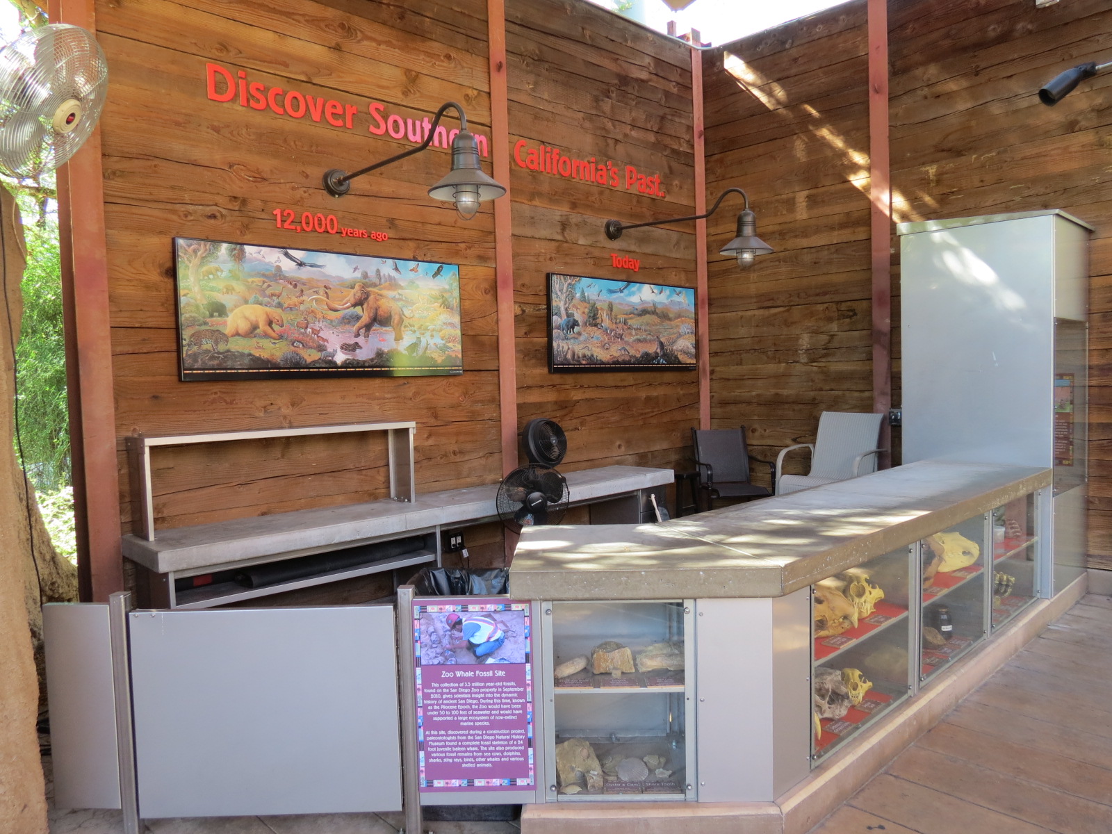 Elephant Odyssey - Fossil Portal Education Counter