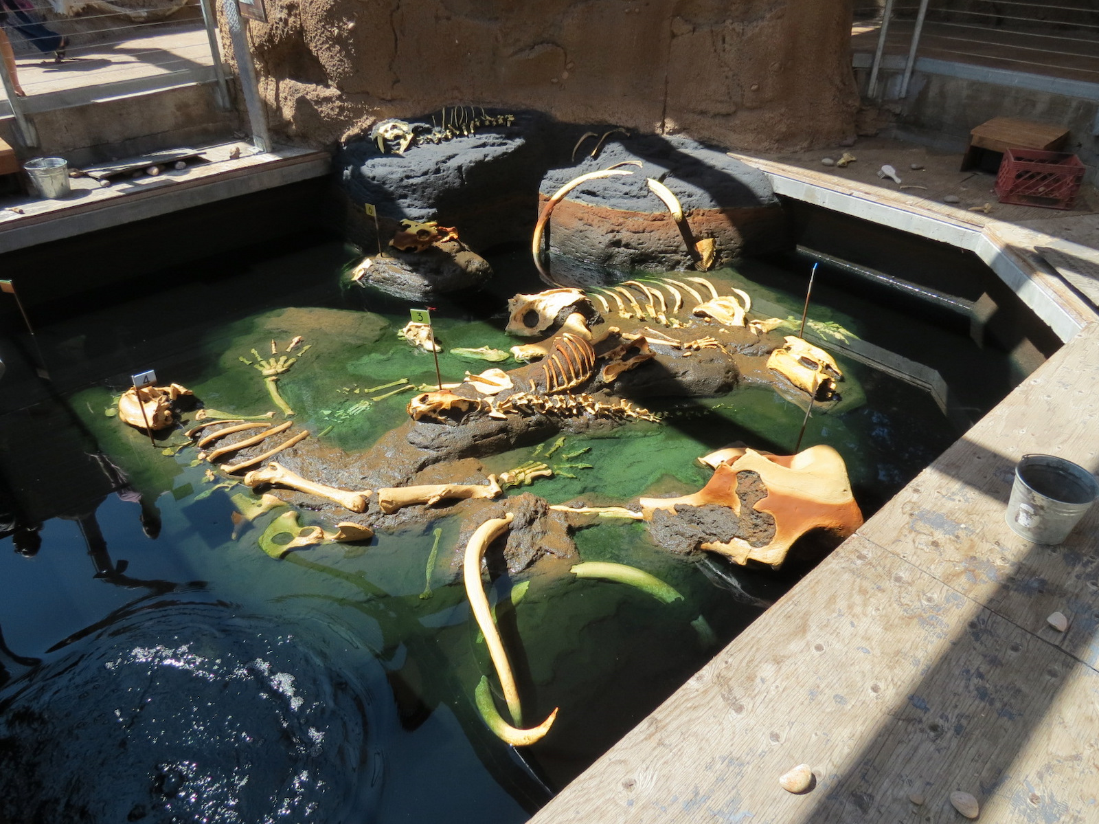 Elephant Odyssey - Fossil Portal Tar Pit