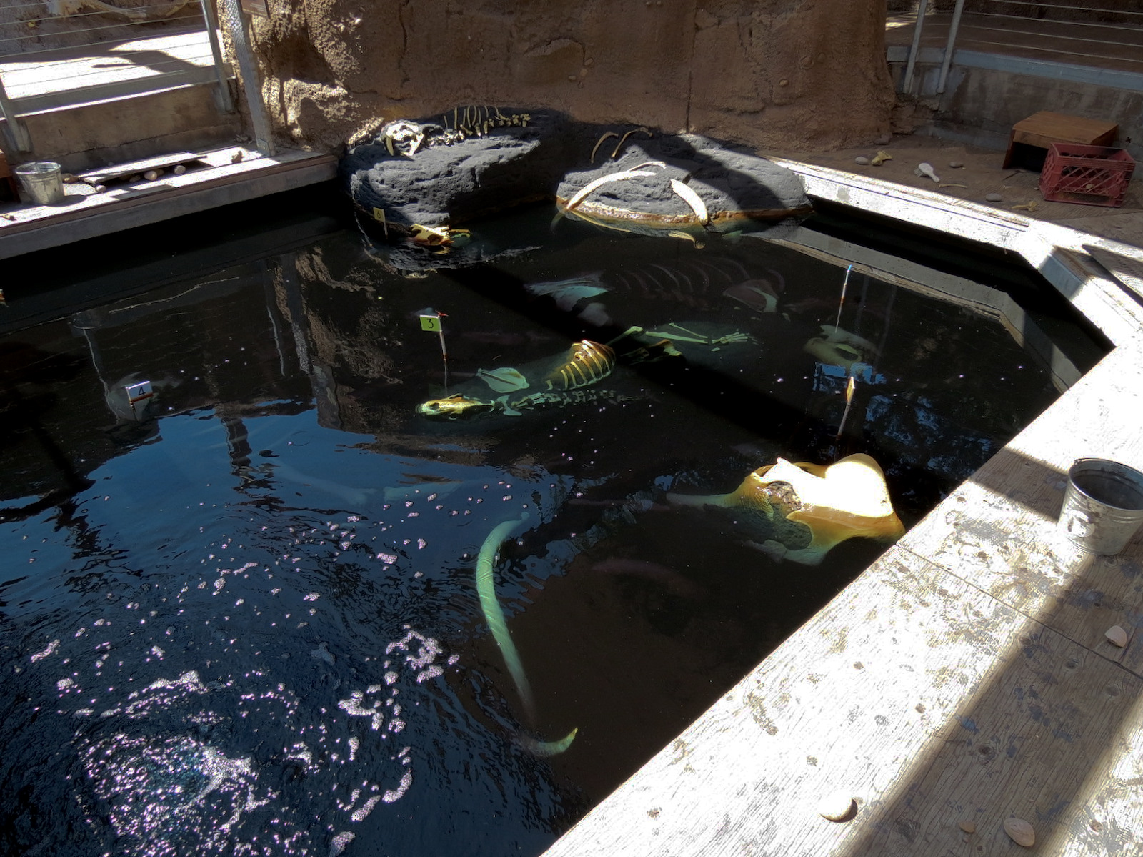 Elephant Odyssey - Fossil Portal Tar Pit