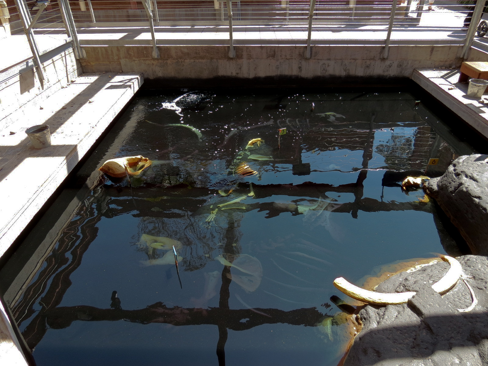 Elephant Odyssey - Fossil Portal Tar Pit