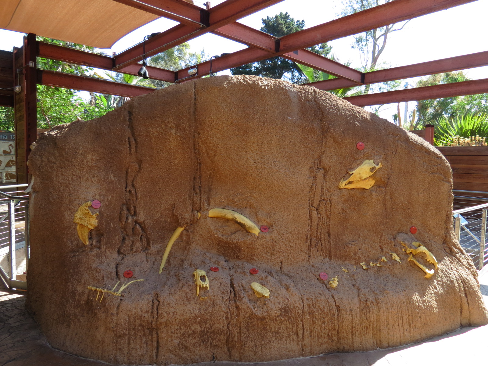 Elephant Odyssey - Fossil Portal