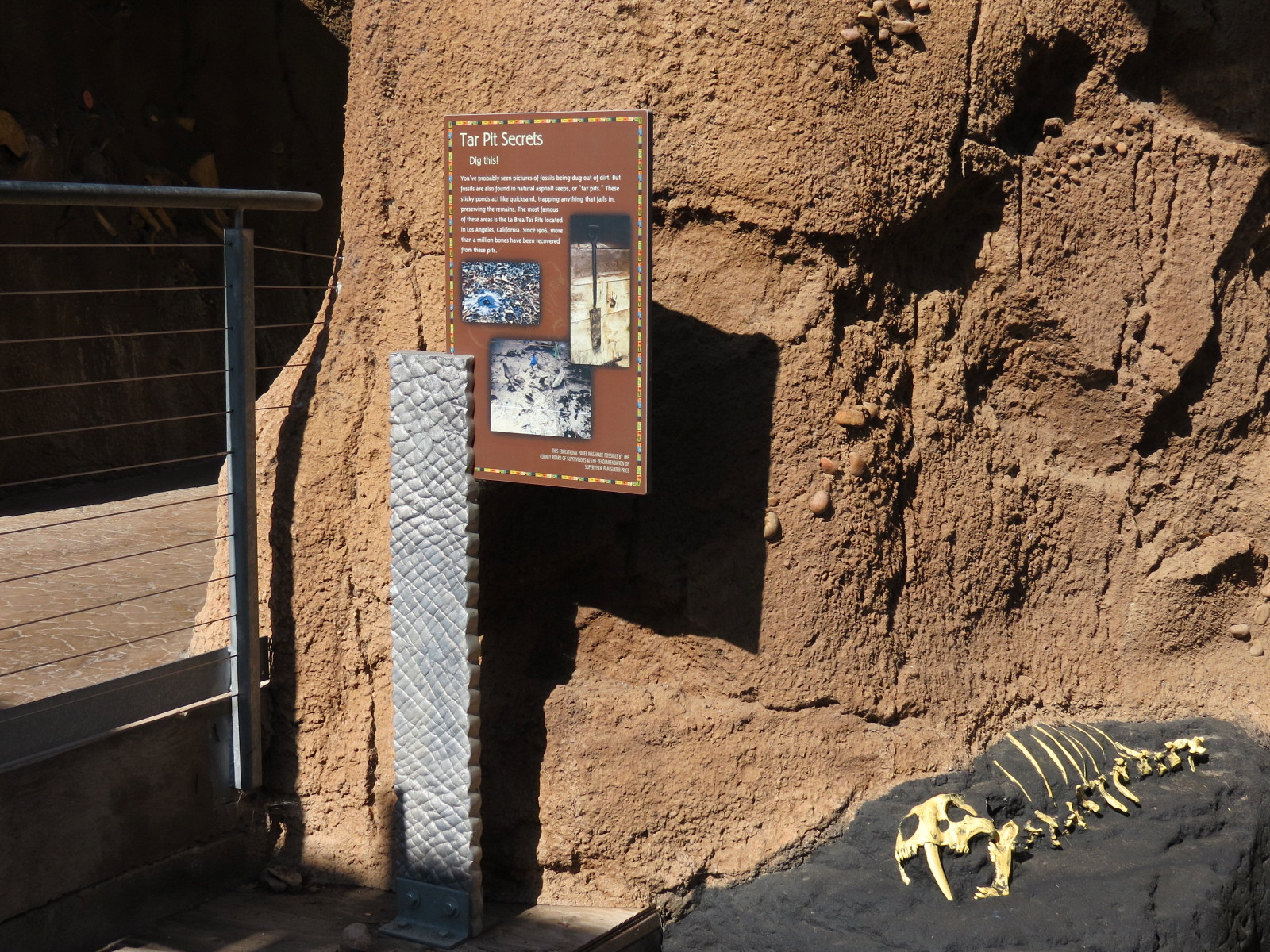 Elephant Odyssey - Fossil Portal