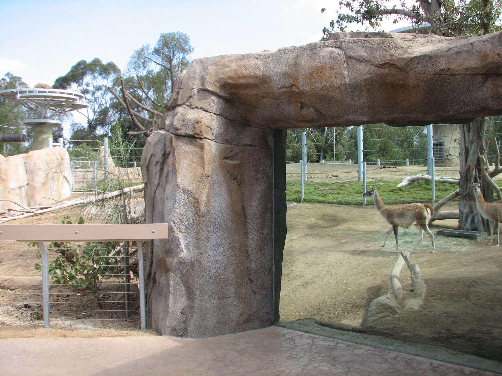 Elephant Odyssey - Guanaco Exhibit