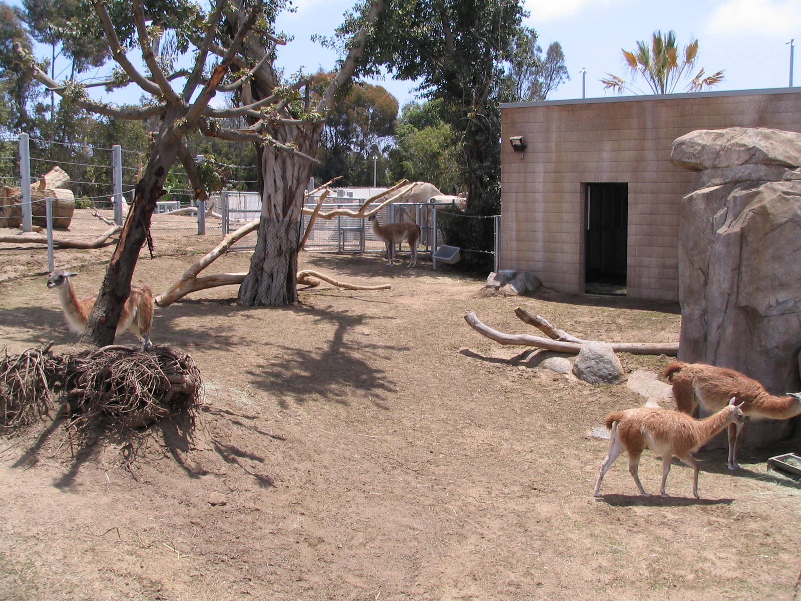 Elephant Odyssey - Gunaco Exhibit