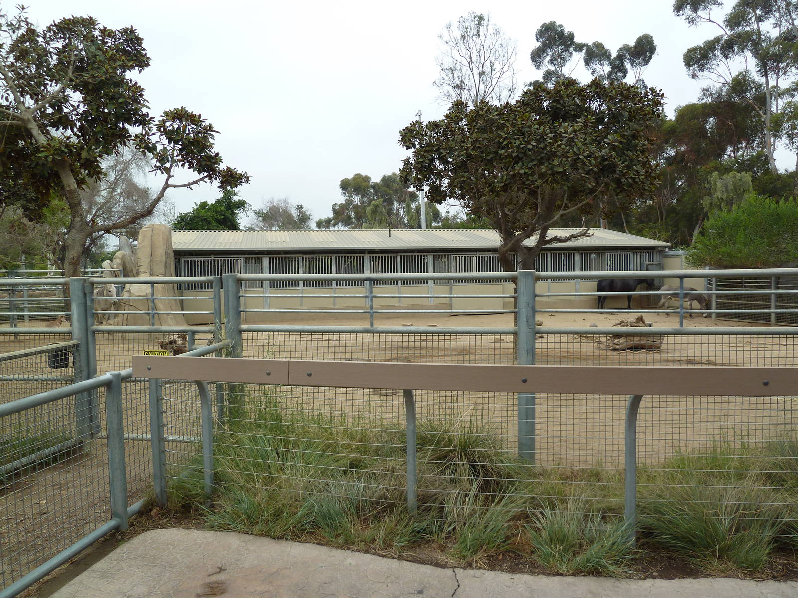 Elephant Odyssey - Horse/Burro Exhibit