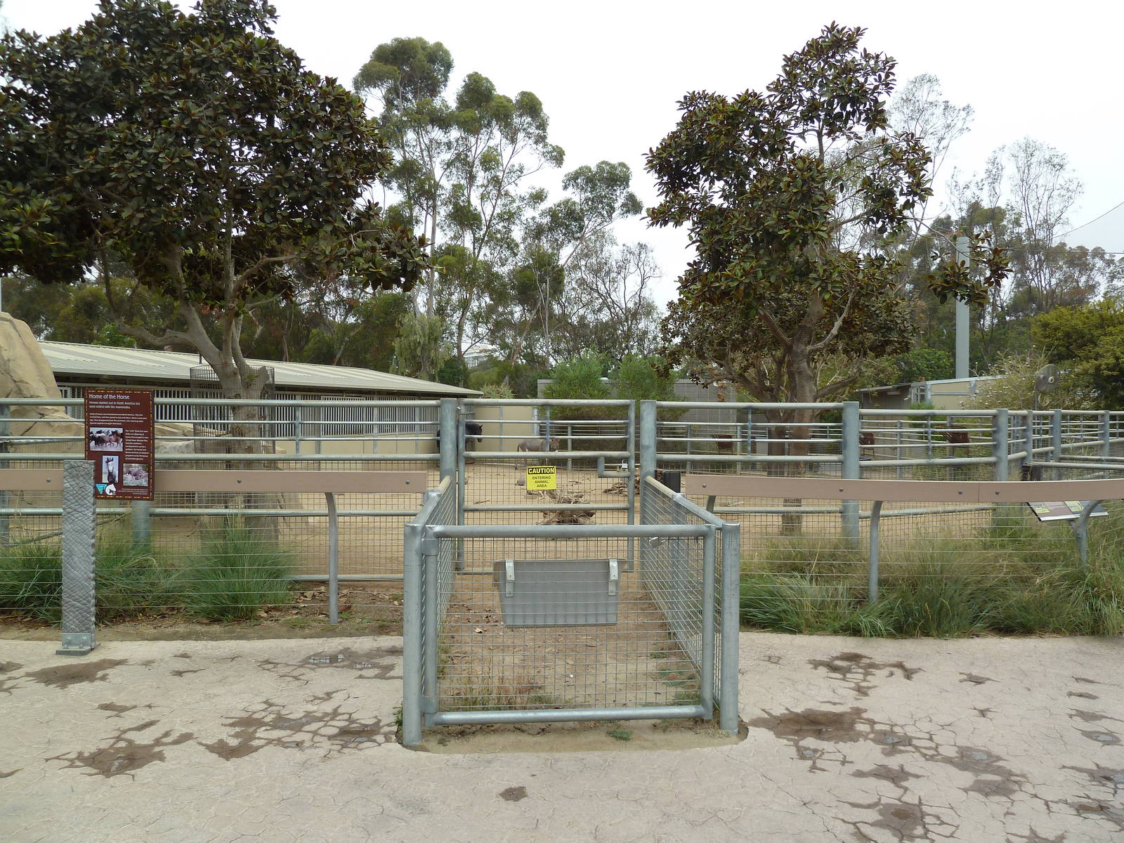 Elephant Odyssey - Horse/Burro Exhibit