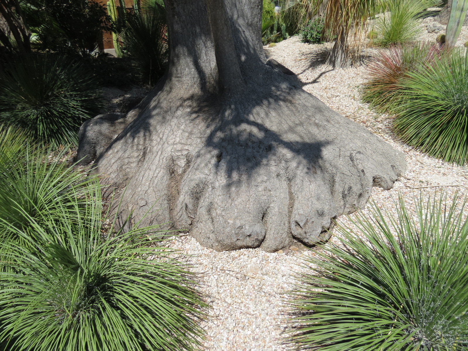 Elephant Odyssey - Hortons Way