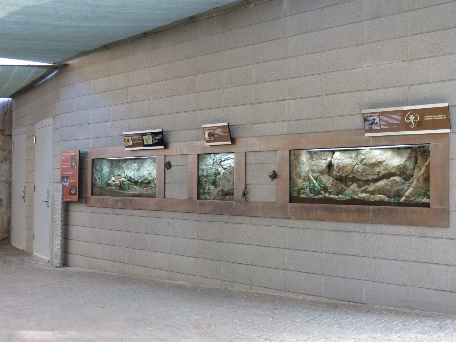 Elephant Odyssey - Insect Exhibits