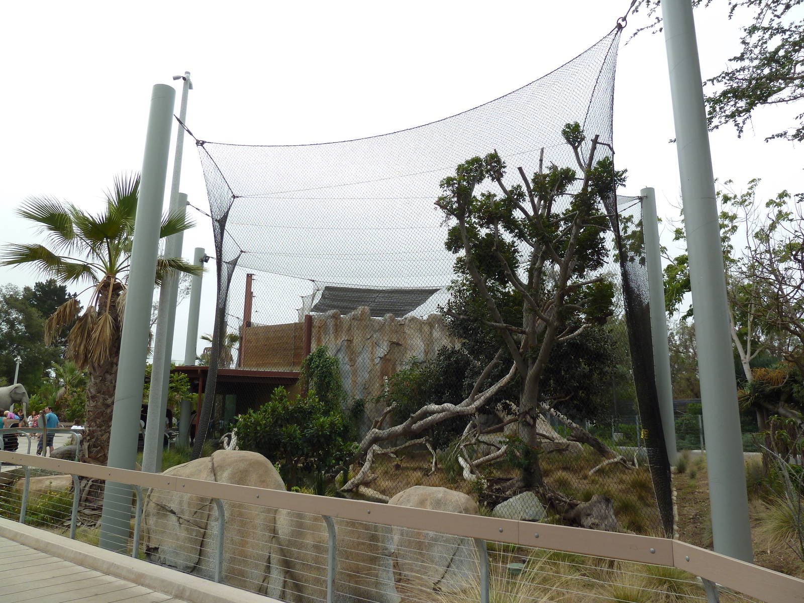 Elephant Odyssey - Jaguar Exhibit