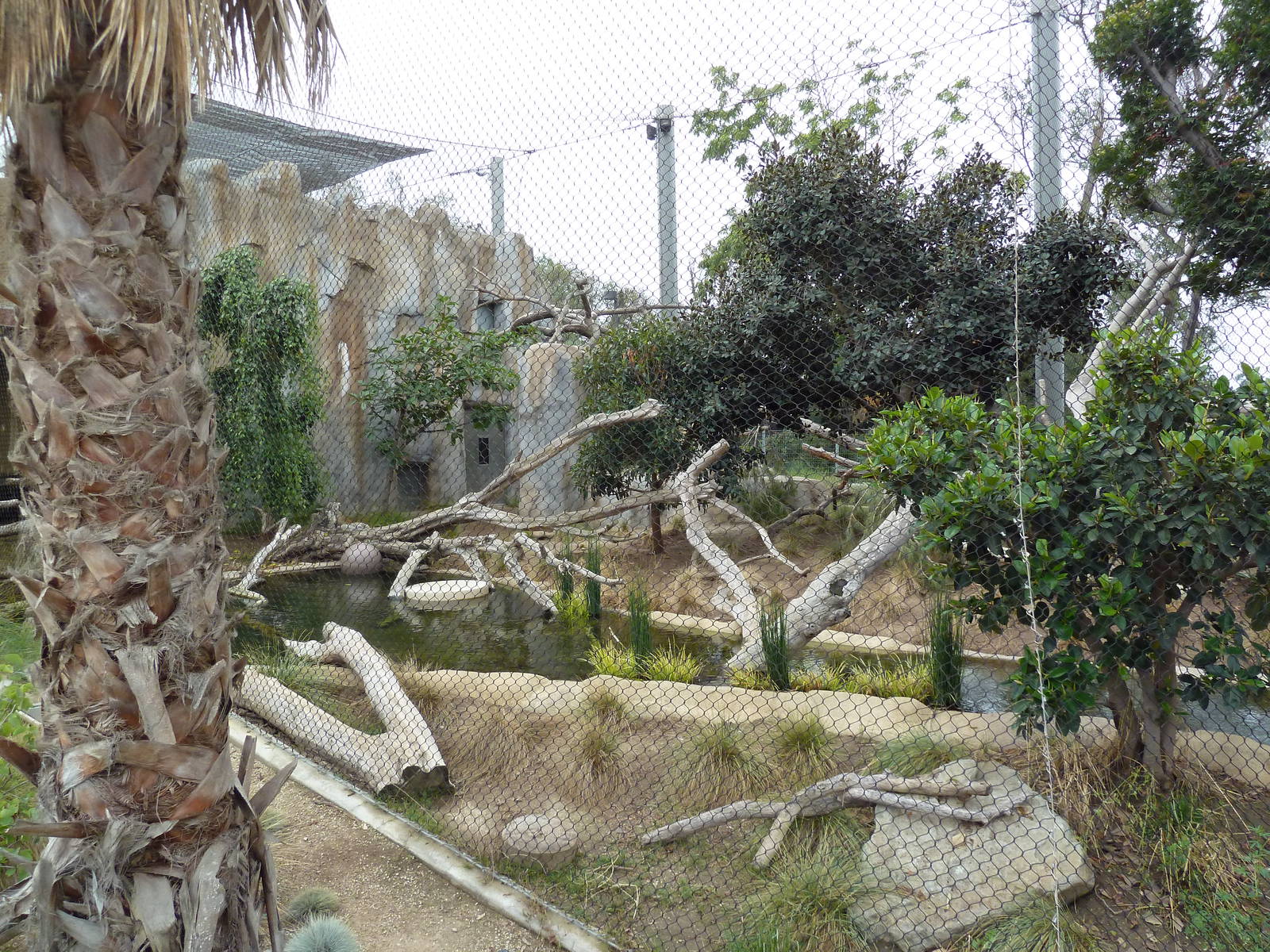 Elephant Odyssey - Jaguar Exhibit