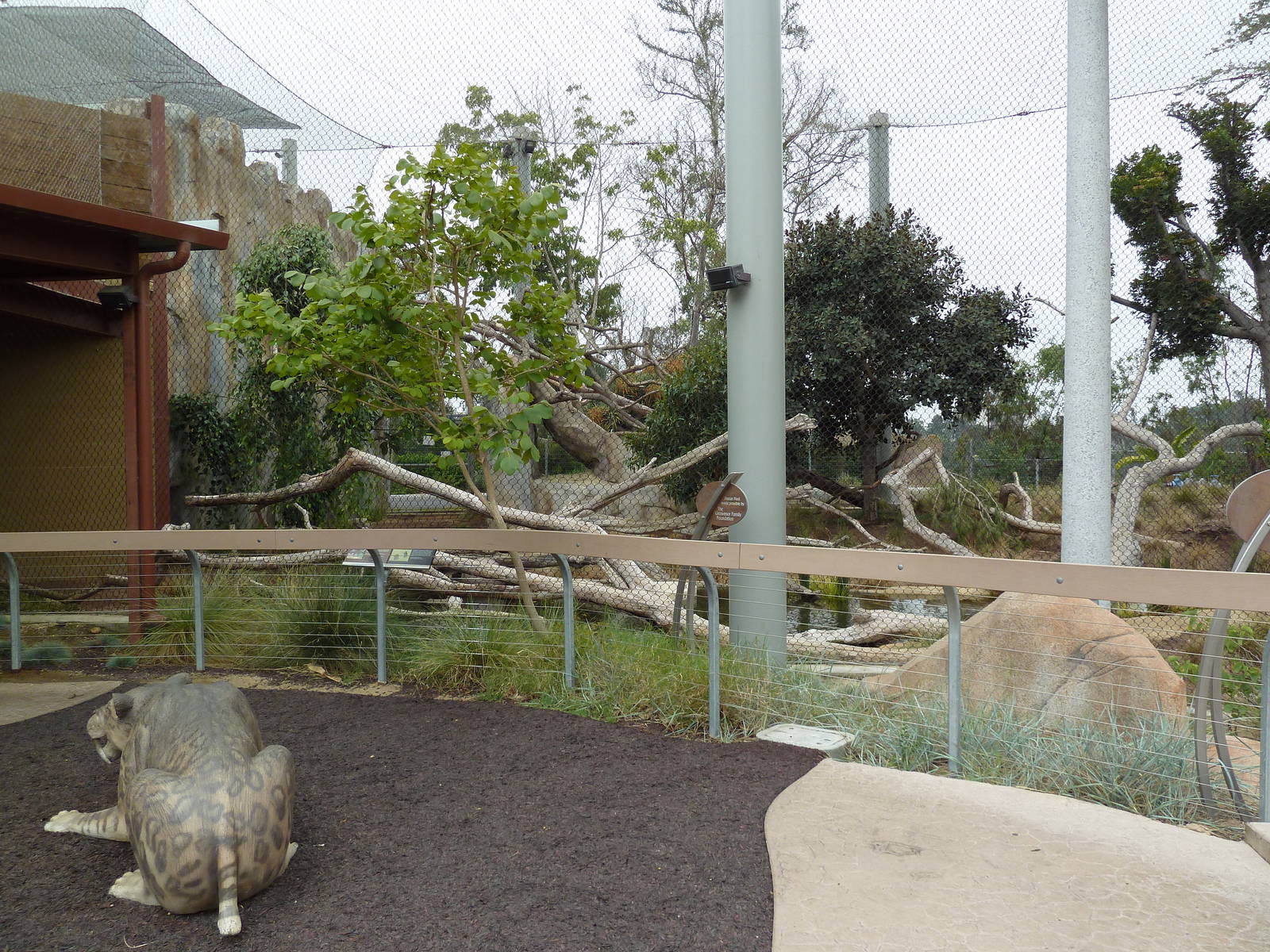 Elephant Odyssey - Jaguar Exhibit