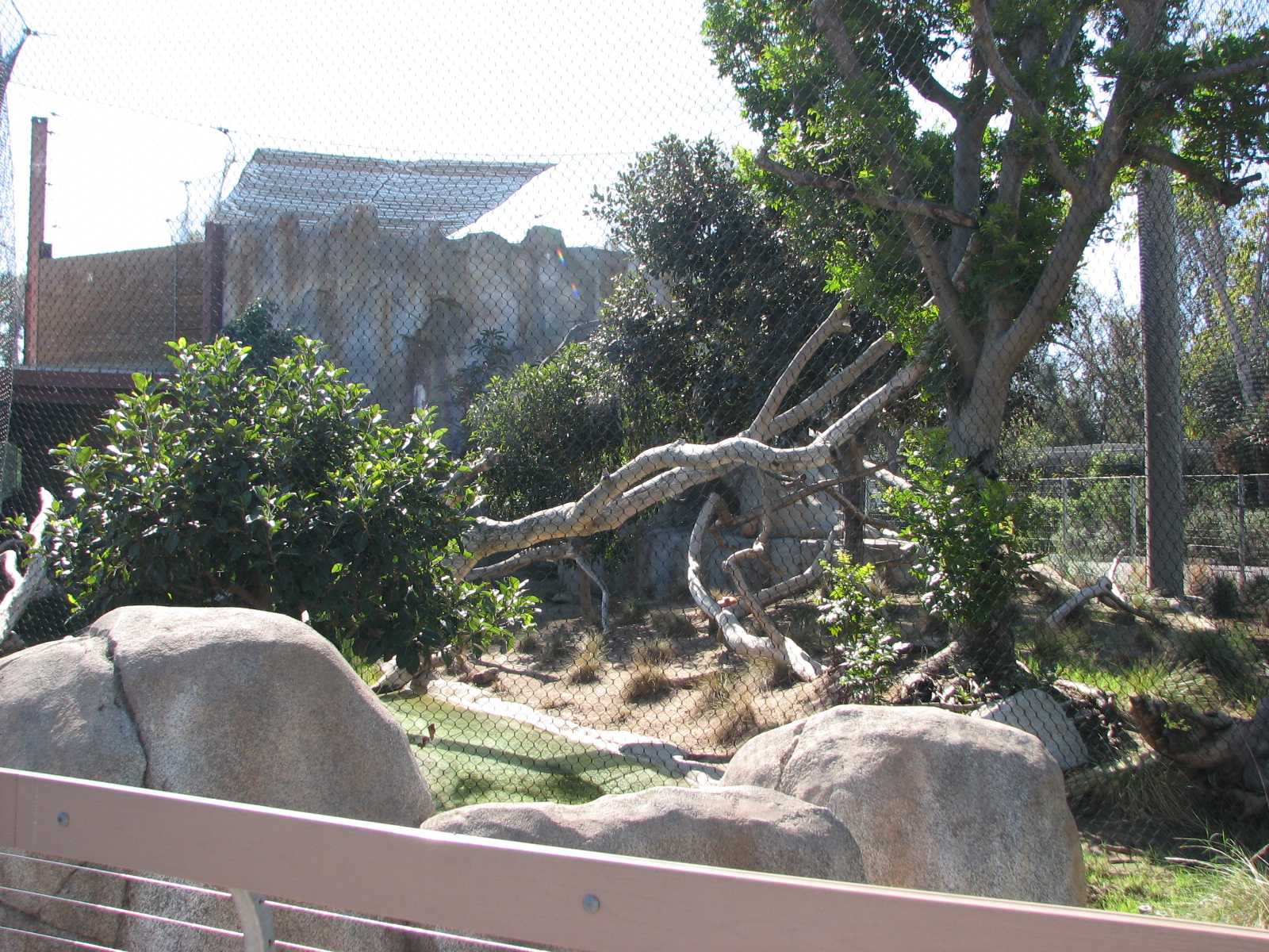 Elephant Odyssey - Jaguar Exhibit