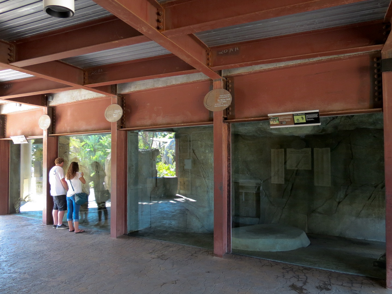 Elephant Odyssey - Jaguar Exhibit