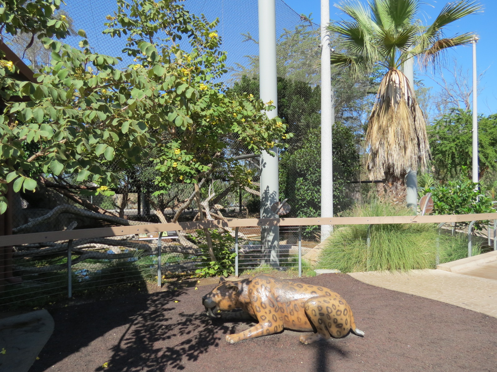 Elephant Odyssey - Jaguar Exhibit