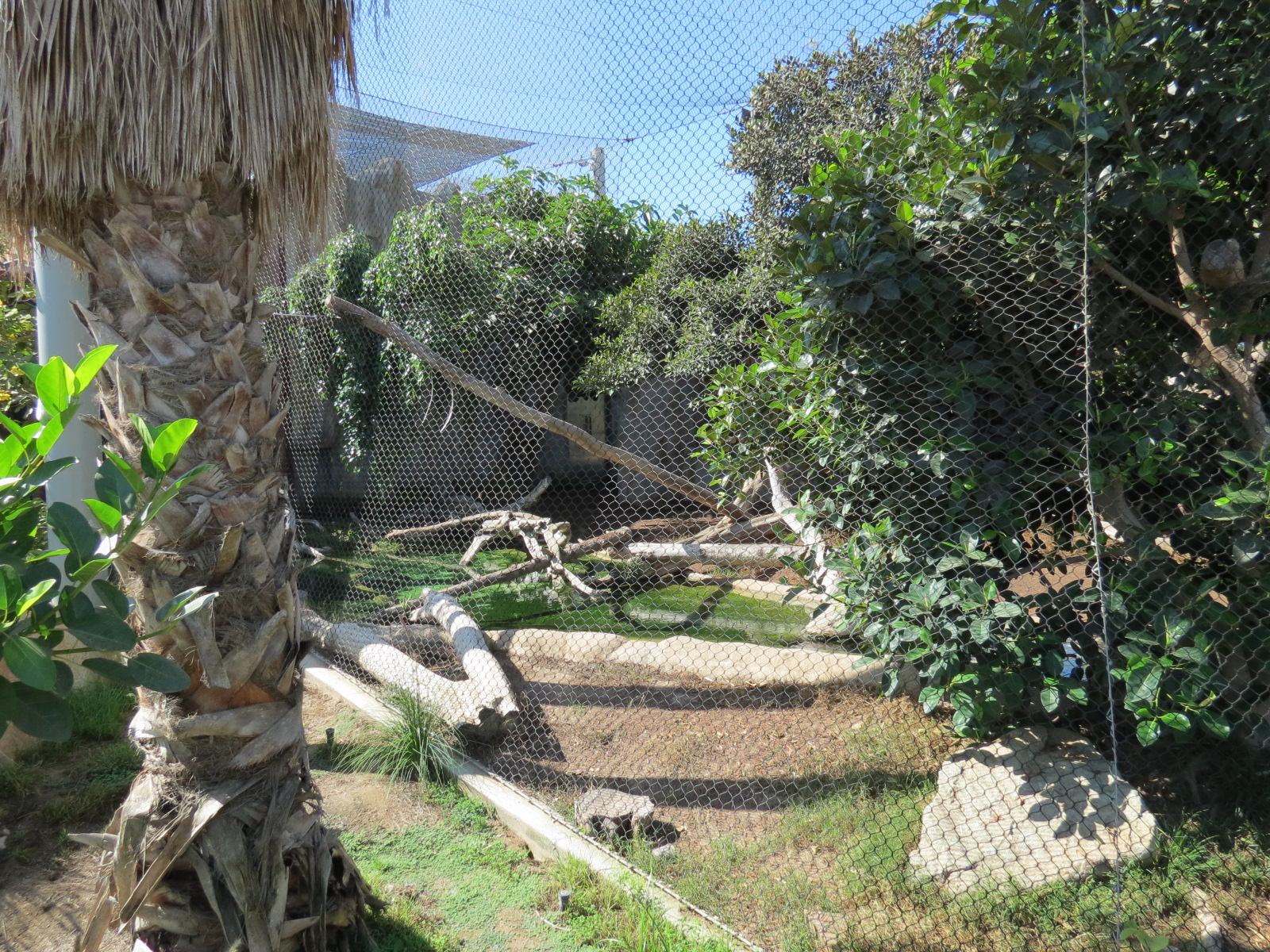 Elephant Odyssey - Jaguar Exhibit
