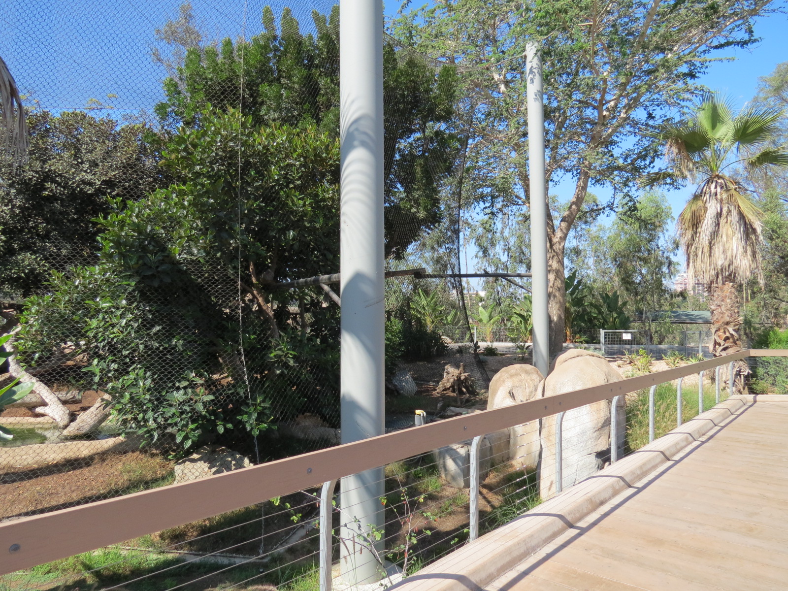 Elephant Odyssey - Jaguar Exhibit