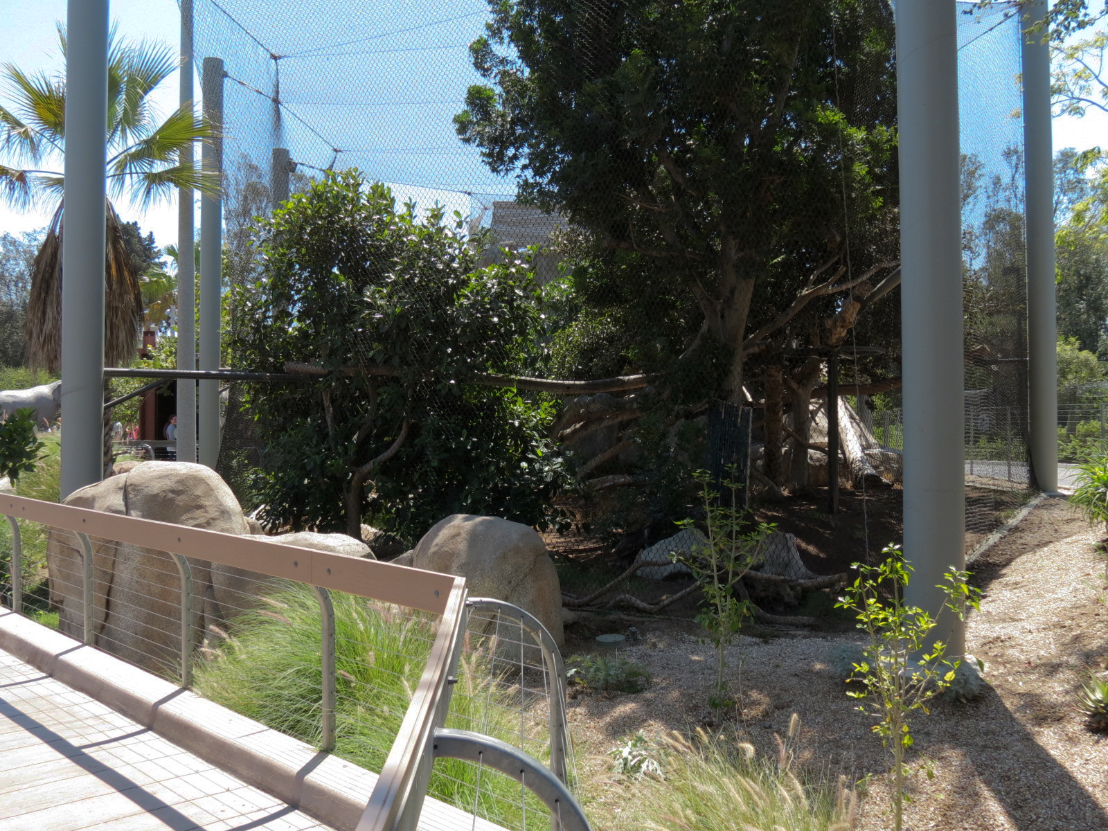 Elephant Odyssey - Jaguar Exhibit