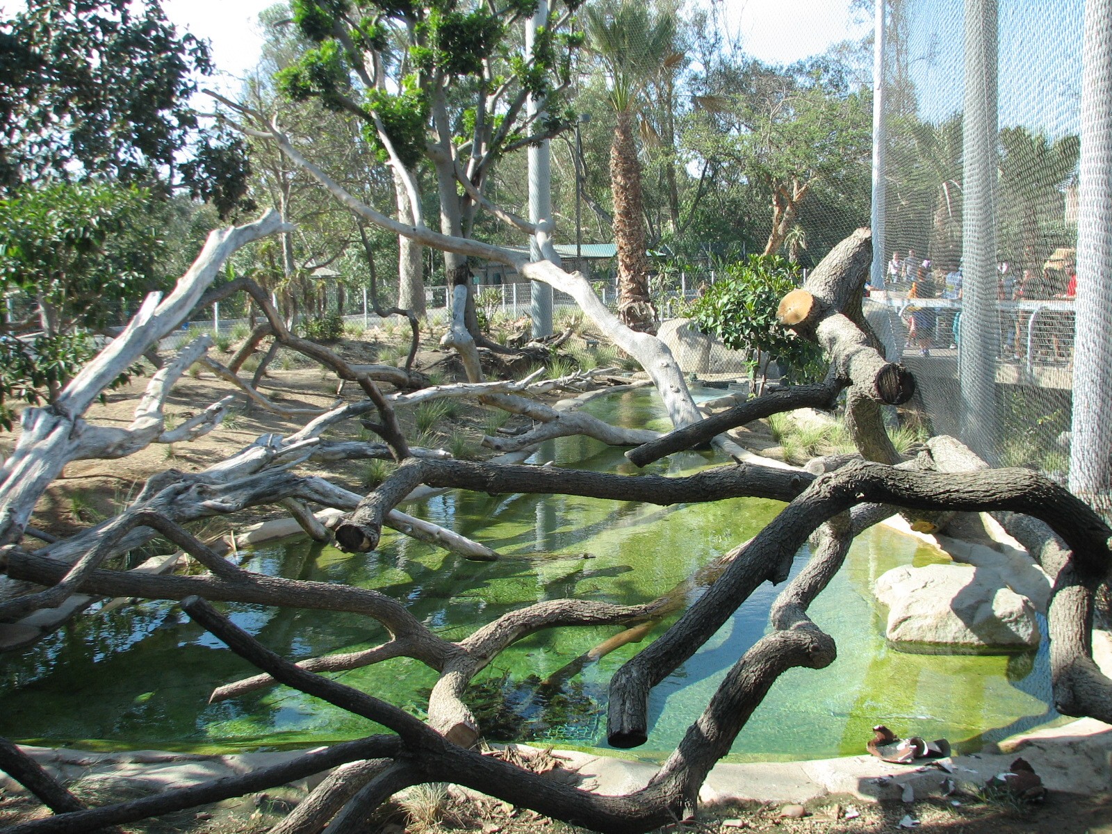 Elephant Odyssey - Jaguar Exhibit