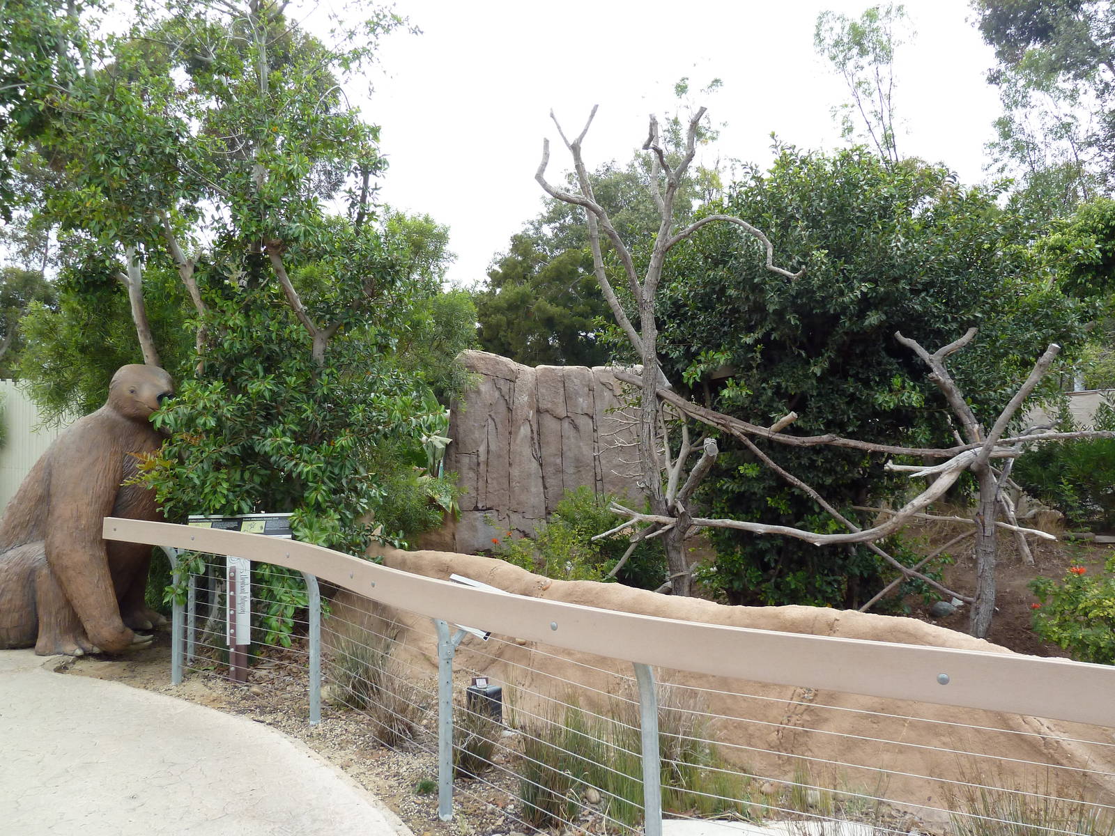 Elephant Odyssey - Kirk's Dik-Dik Exhibit