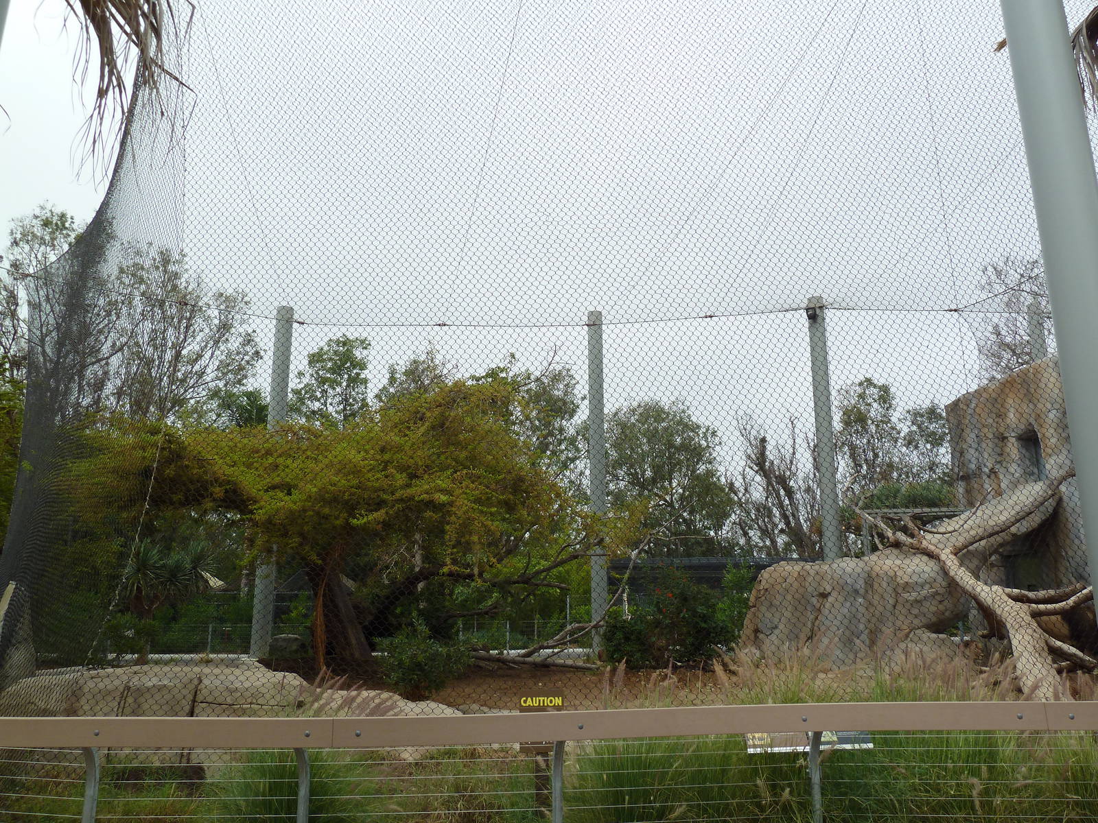 Elephant Odyssey - Lion Exhibit