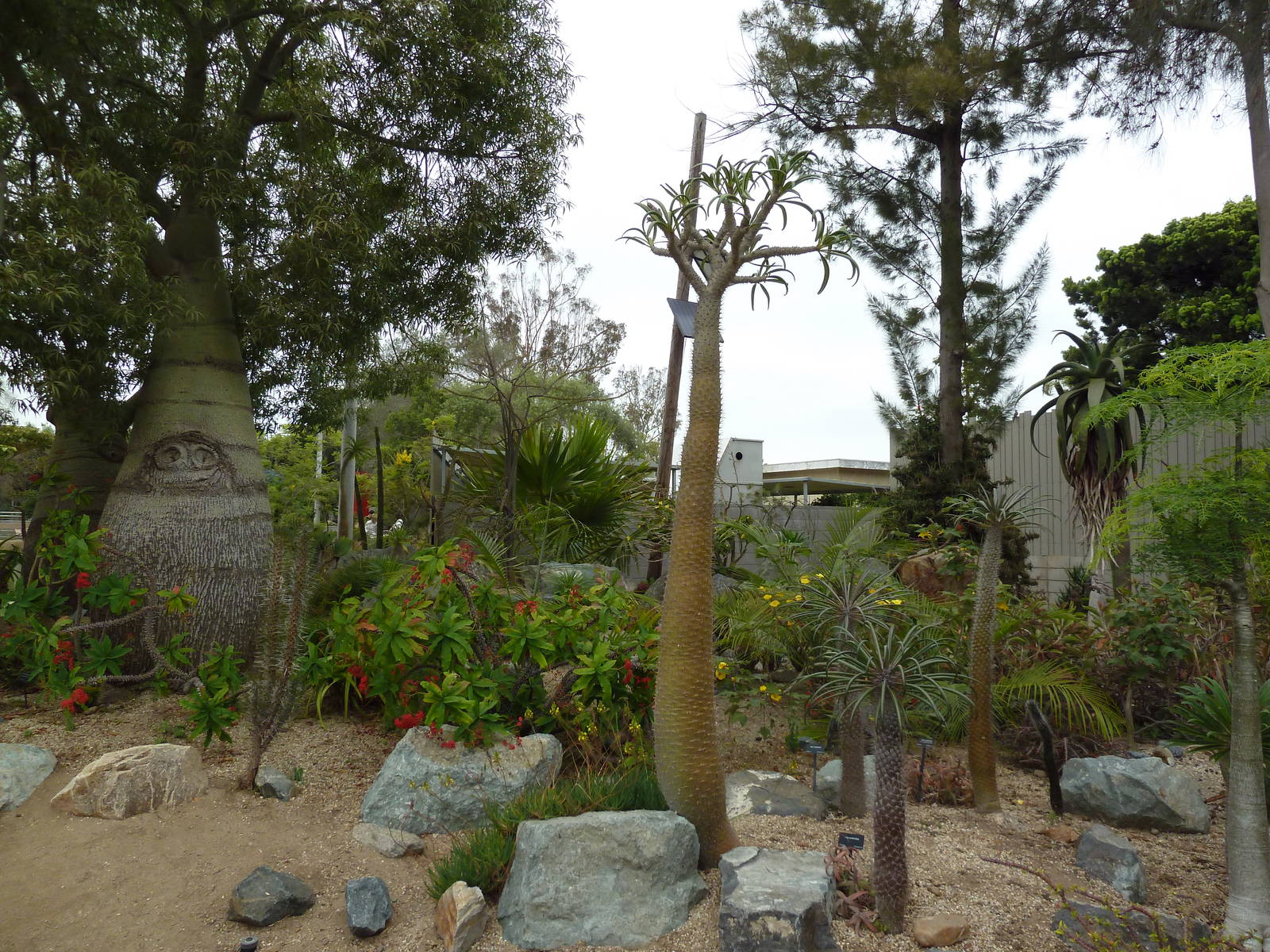 Elephant Odyssey - Madagascar Garden