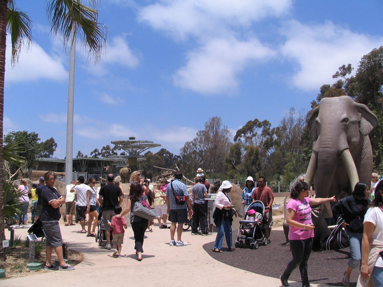 Elephant Odyssey-Memorial Day Entrance