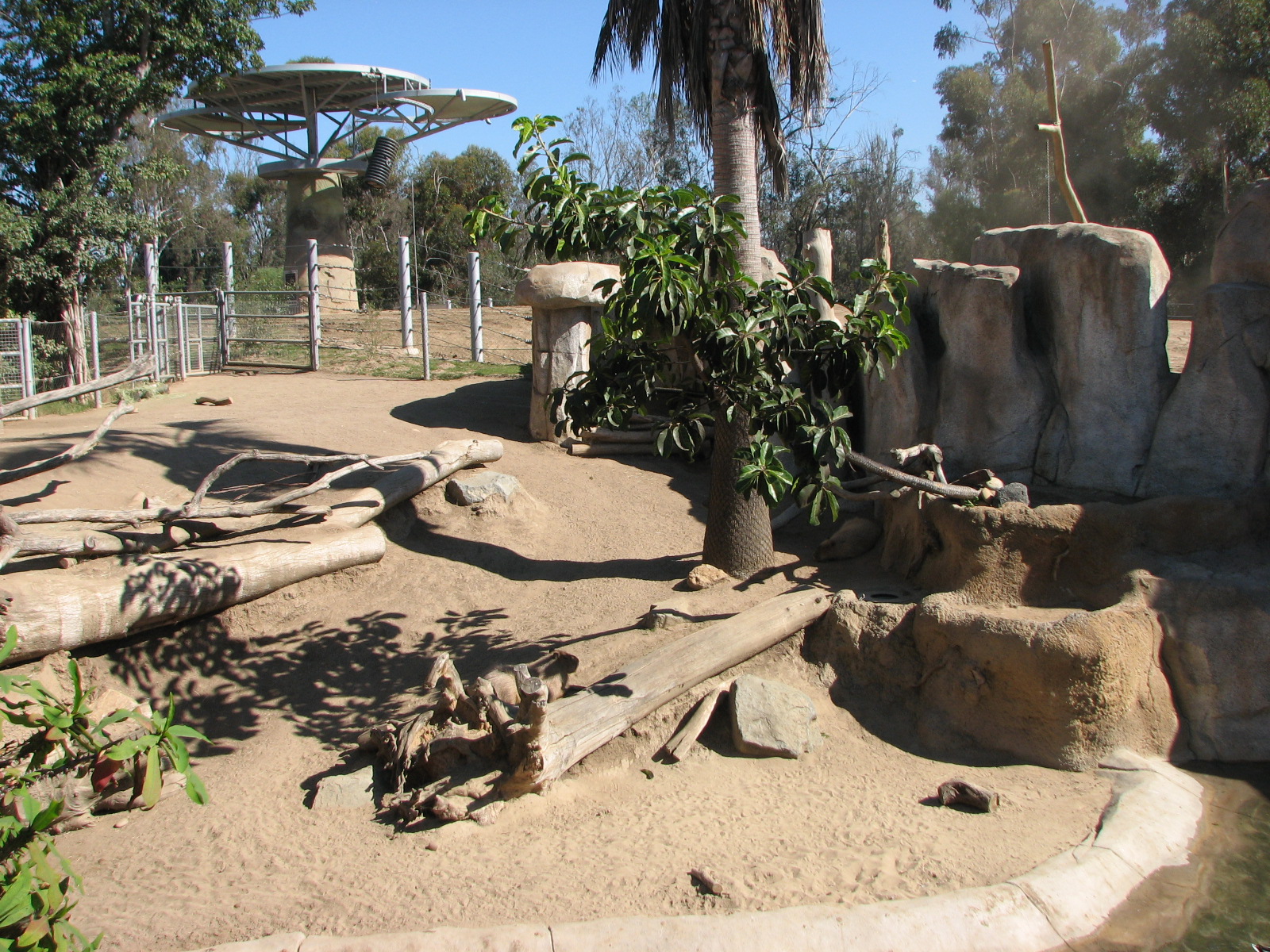 Elephant Odyssey - Mixed Species Exhibit