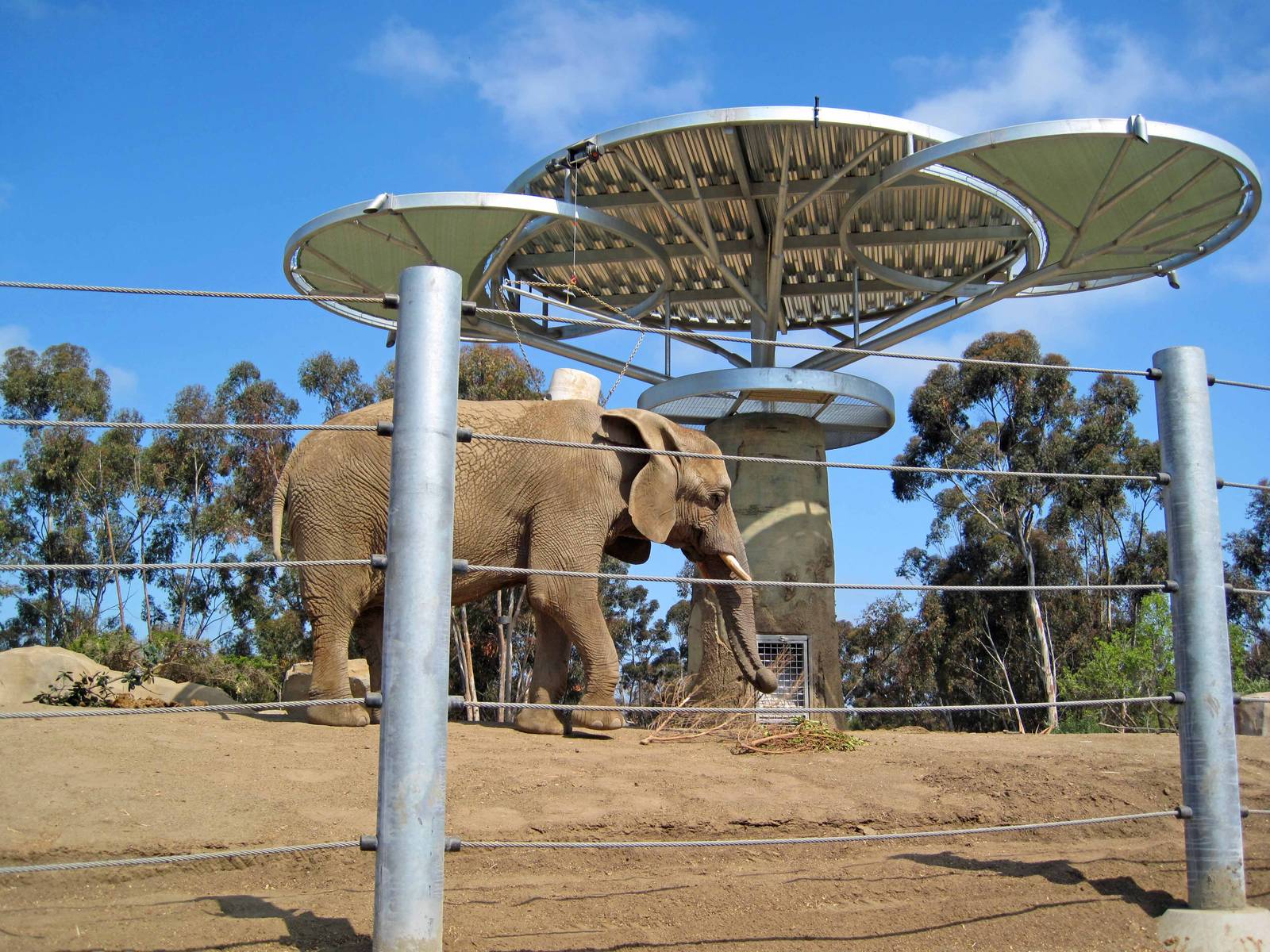 Elephant Odyssey - Opening Day