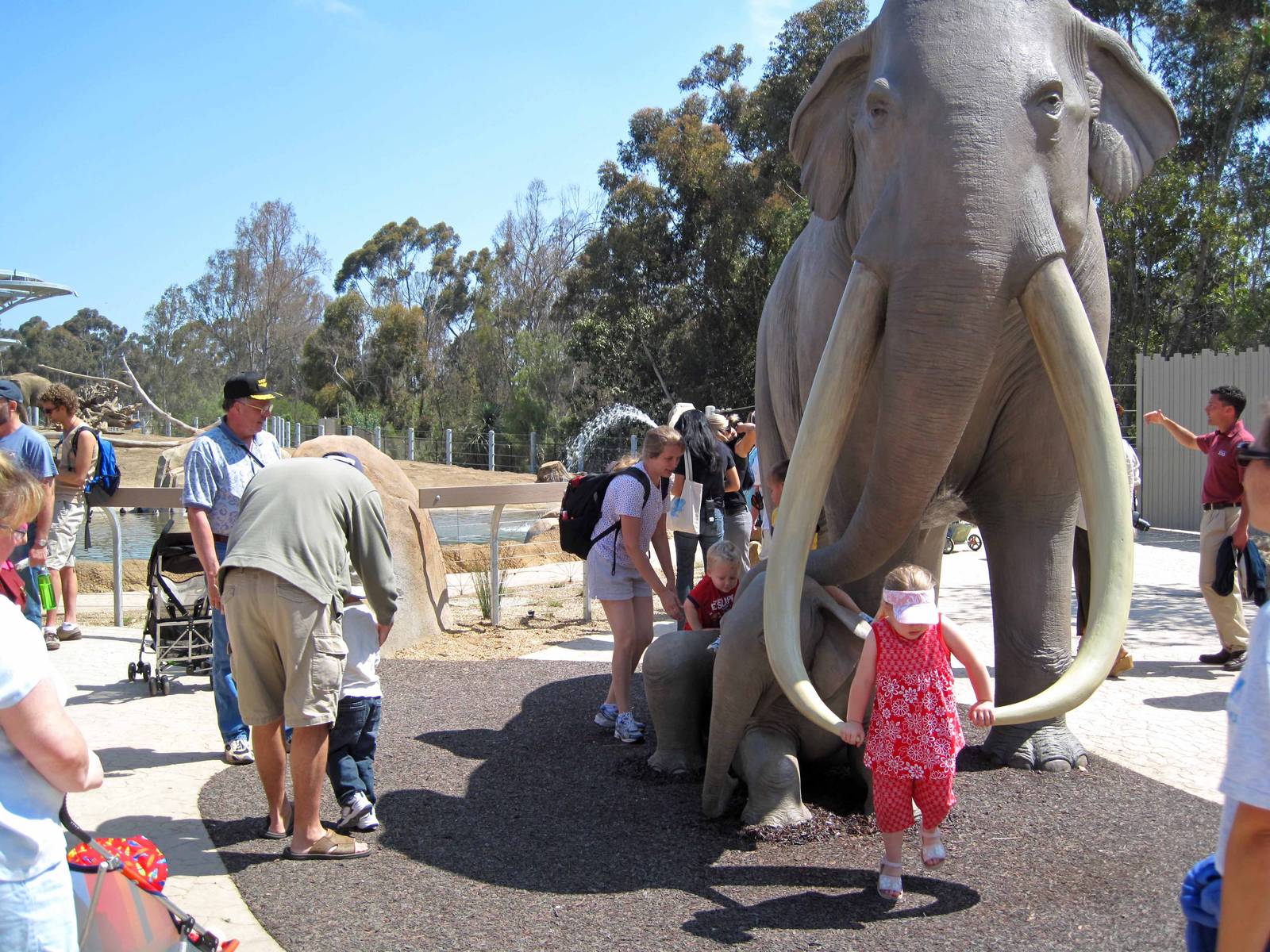 Elephant Odyssey - Opening Day