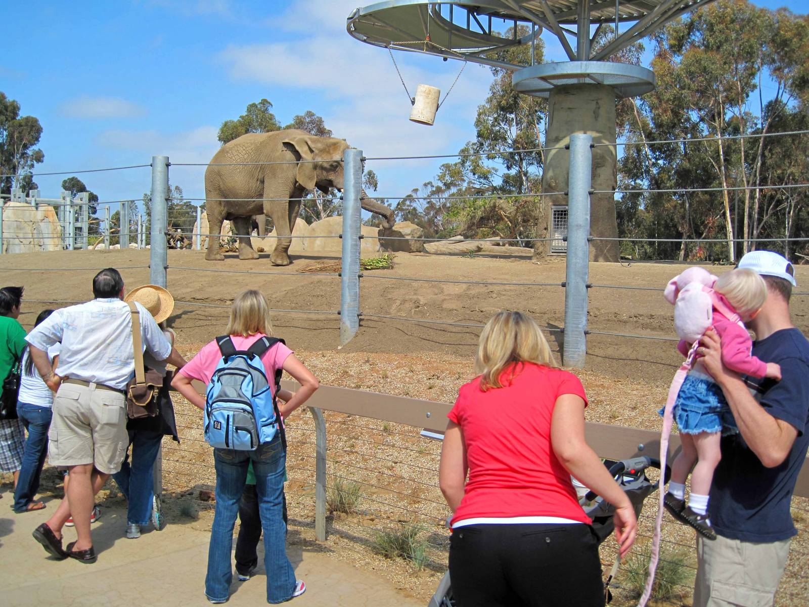 Elephant Odyssey - Opening Day