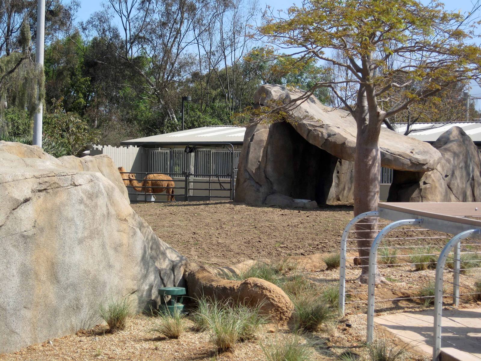 Elephant Odyssey - Opening Day