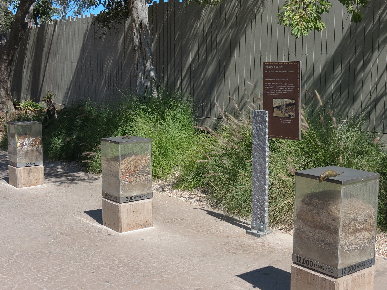 Elephant Odyssey - Pack Rat Den Interpretive Display