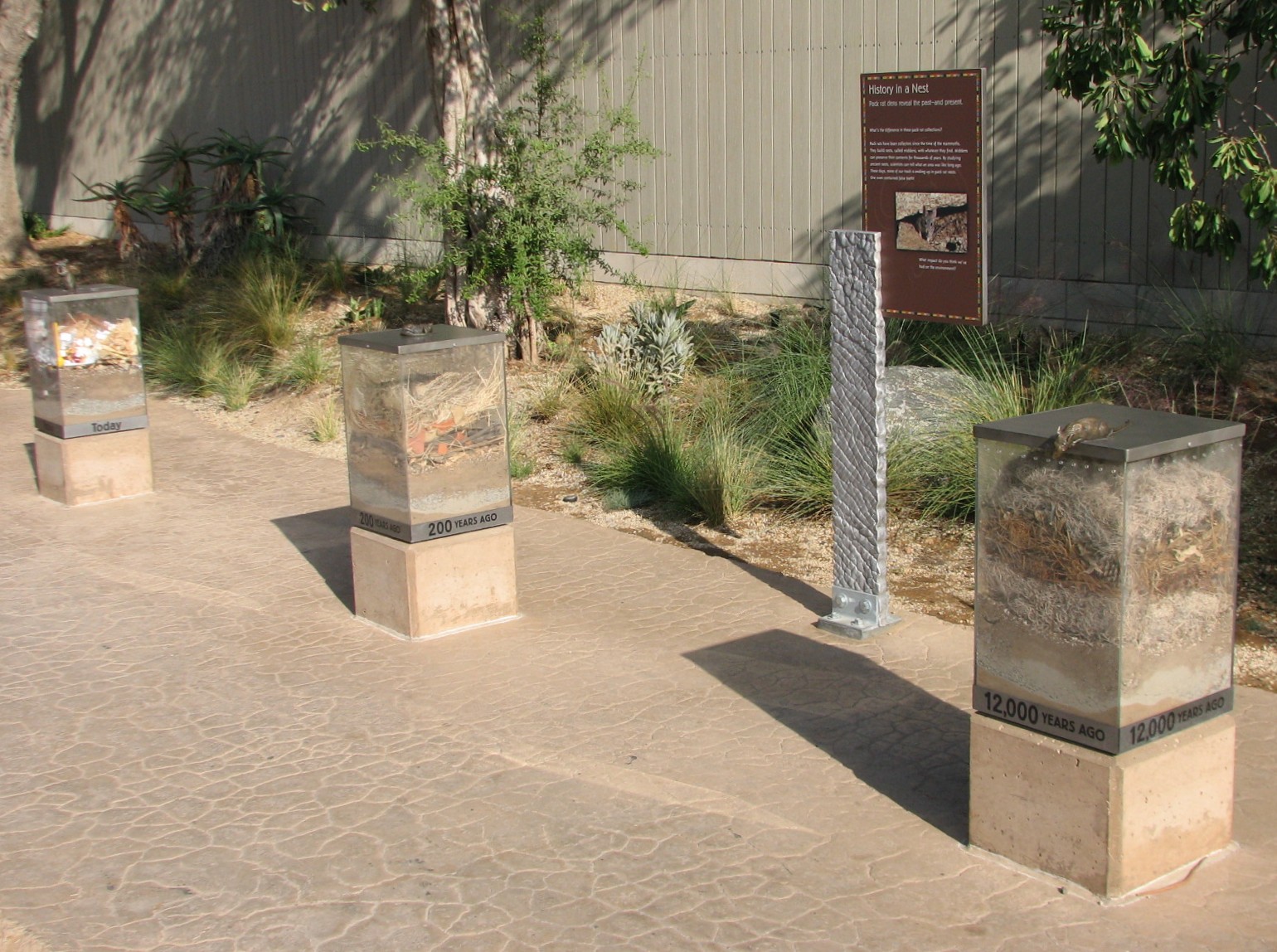 Elephant Odyssey - Pack Rat Nest Exhibit