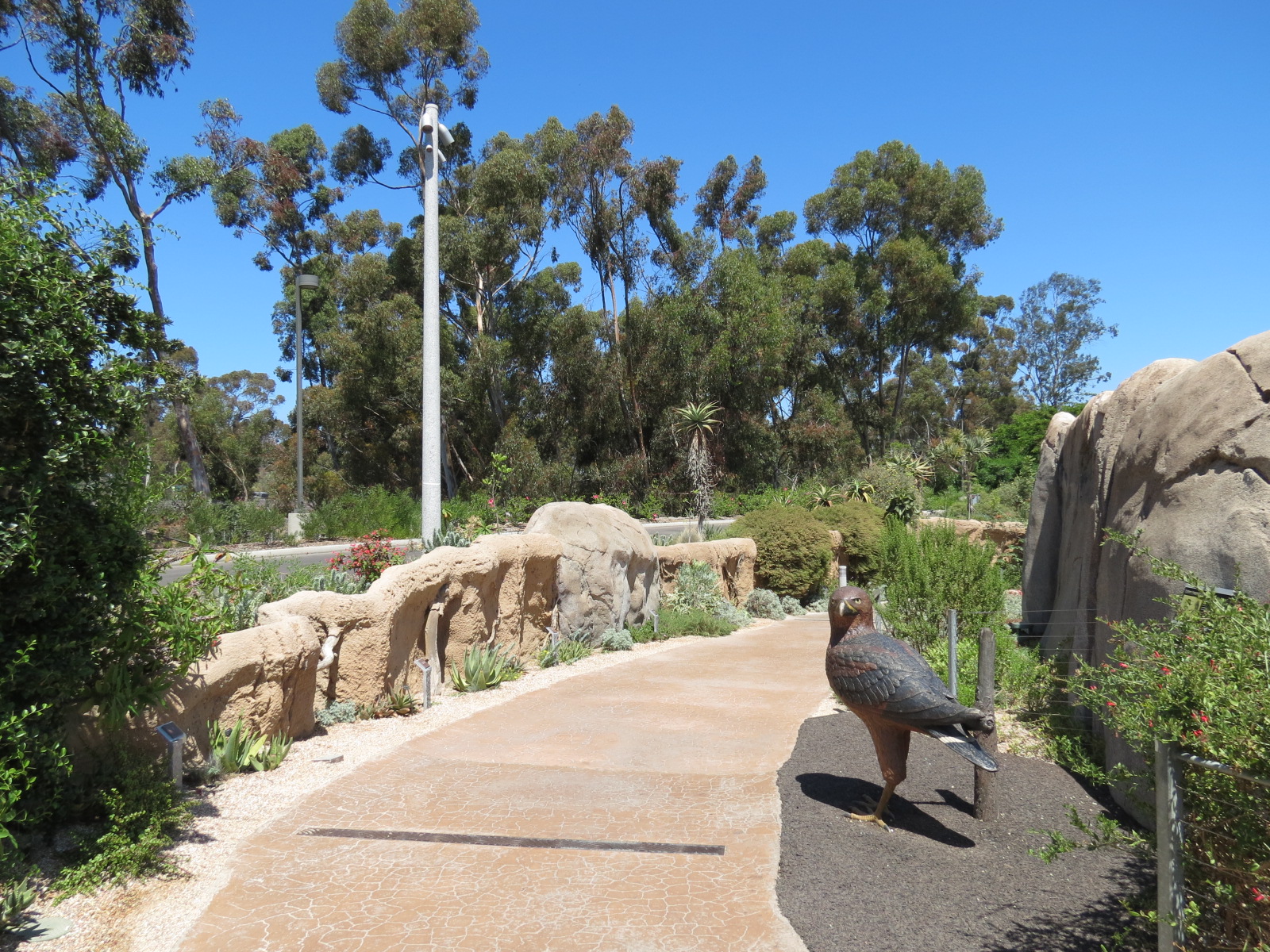 Elephant Odyssey - Path