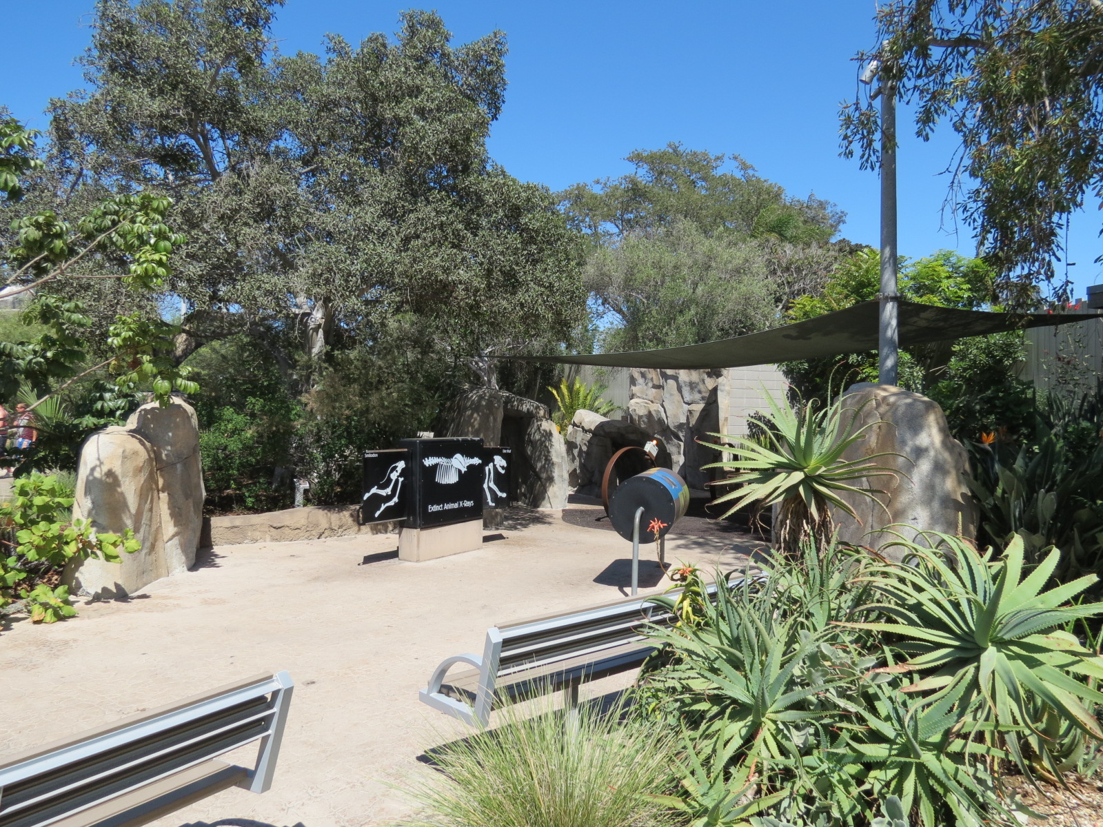 Elephant Odyssey - Play Area