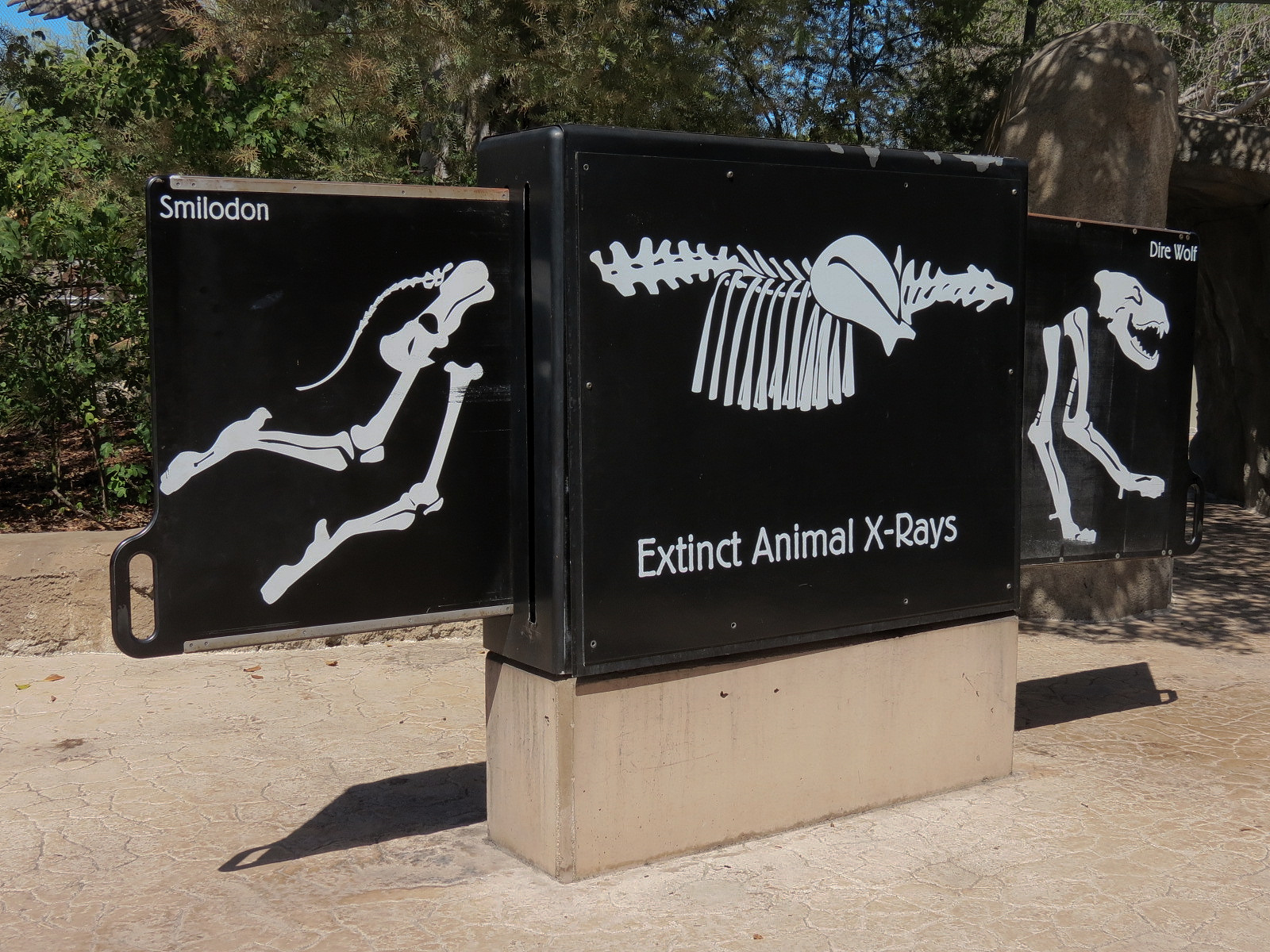 Elephant Odyssey - Play Area