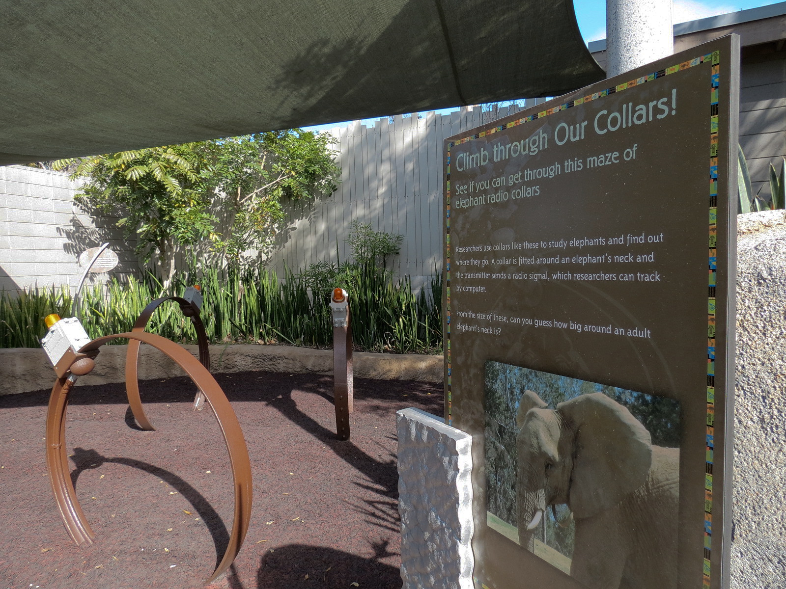 Elephant Odyssey - Play Area