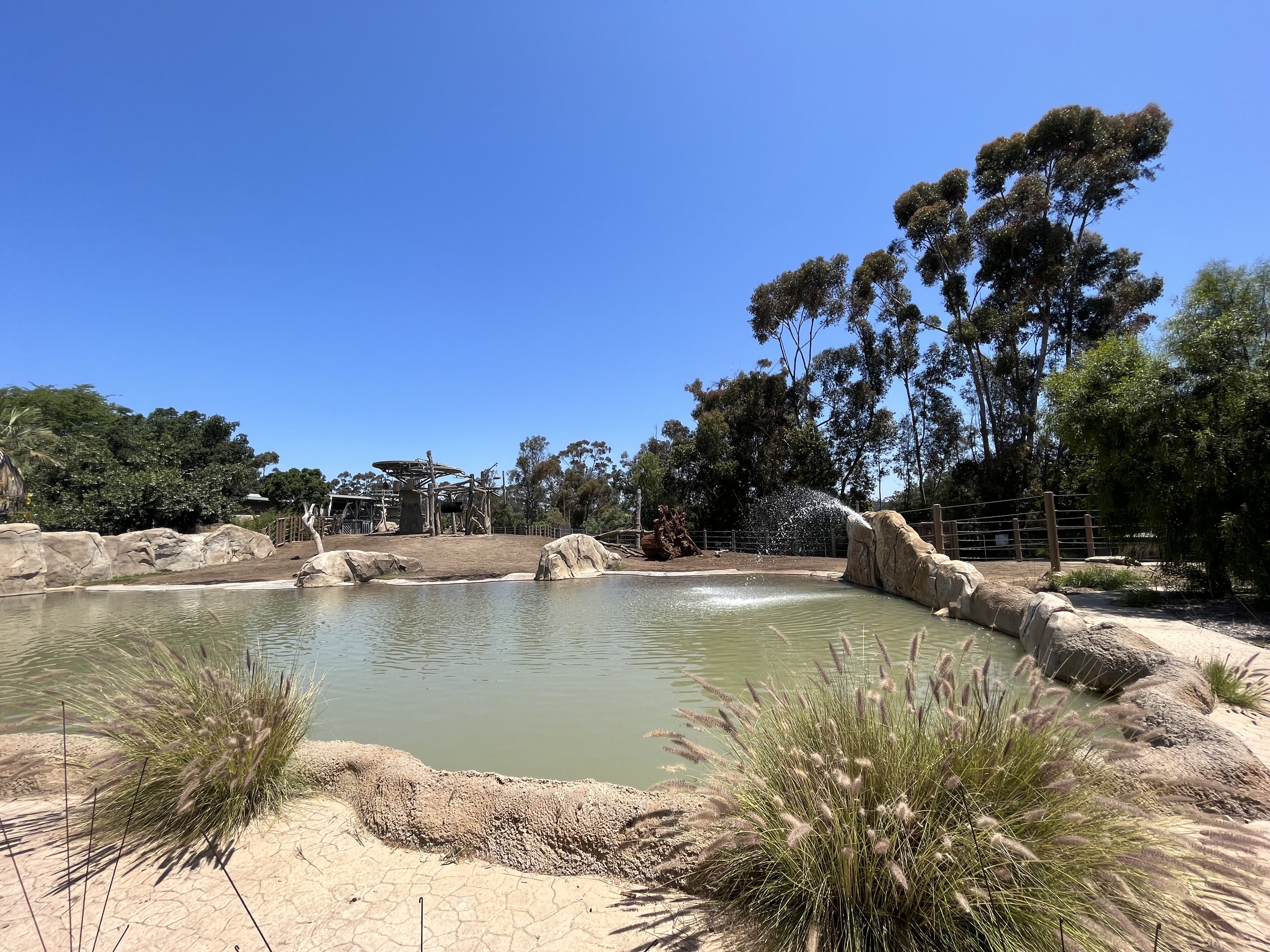 Elephant Odyssey Pool