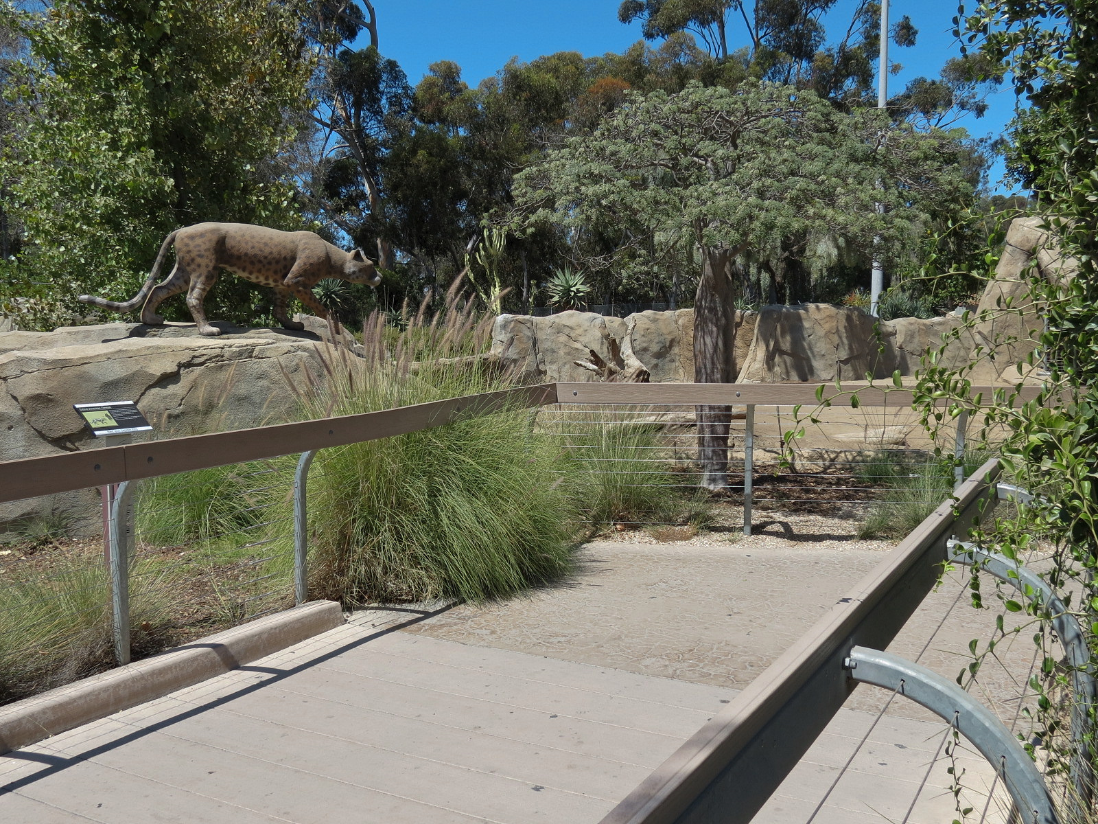 Elephant Odyssey - Pronghorn and Dromedary Camel Exhibit