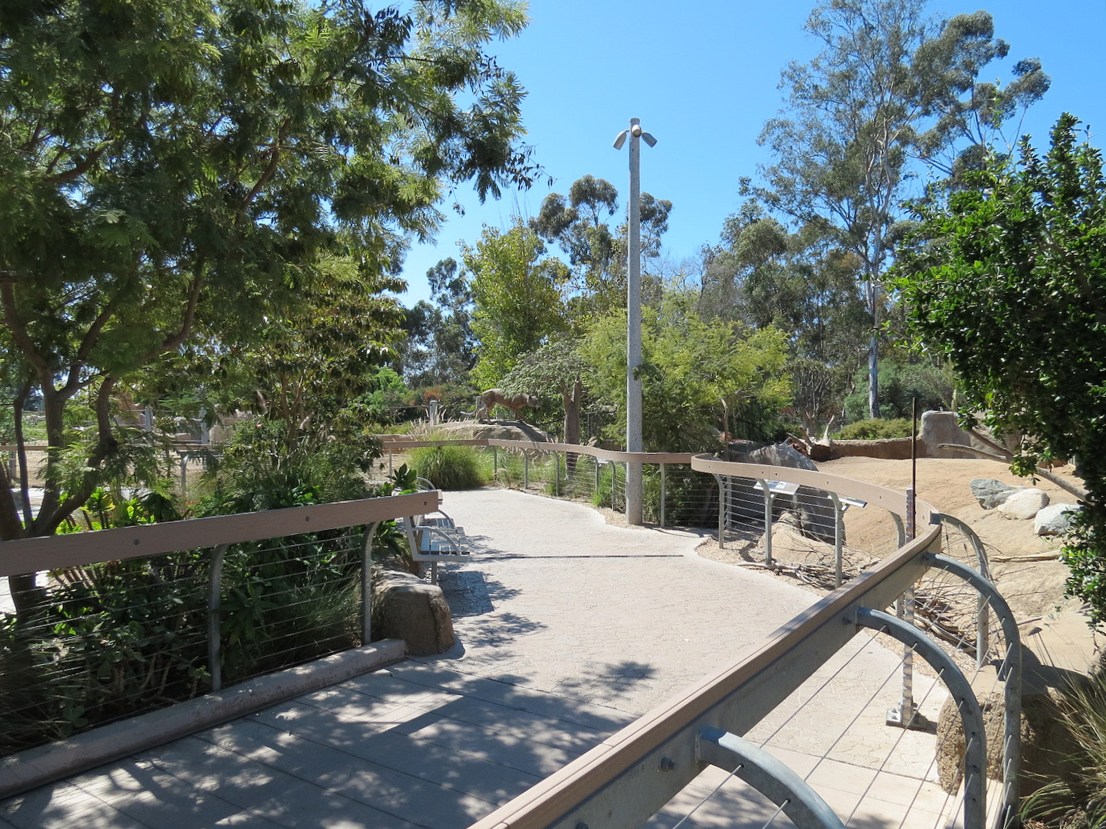 Elephant Odyssey - Pronghorn and Dromedary Camel Exhibit