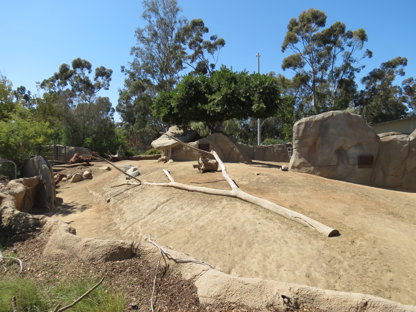 Elephant Odyssey - Pronghorn and Dromedary Camel Exhibit