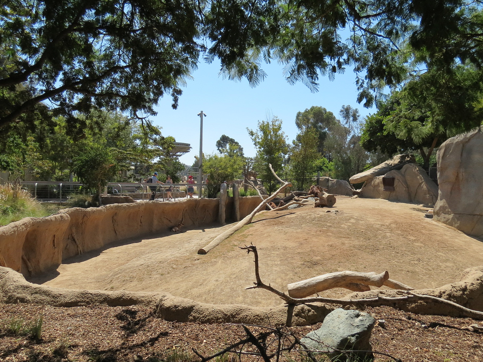 Elephant Odyssey - Pronghorn and Dromedary Camel Exhibit