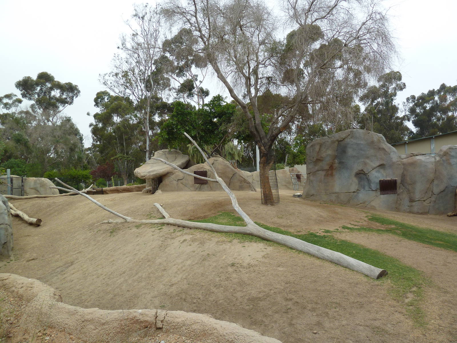 Elephant Odyssey - Pronghorn/Dromedary/Llama Exhibit