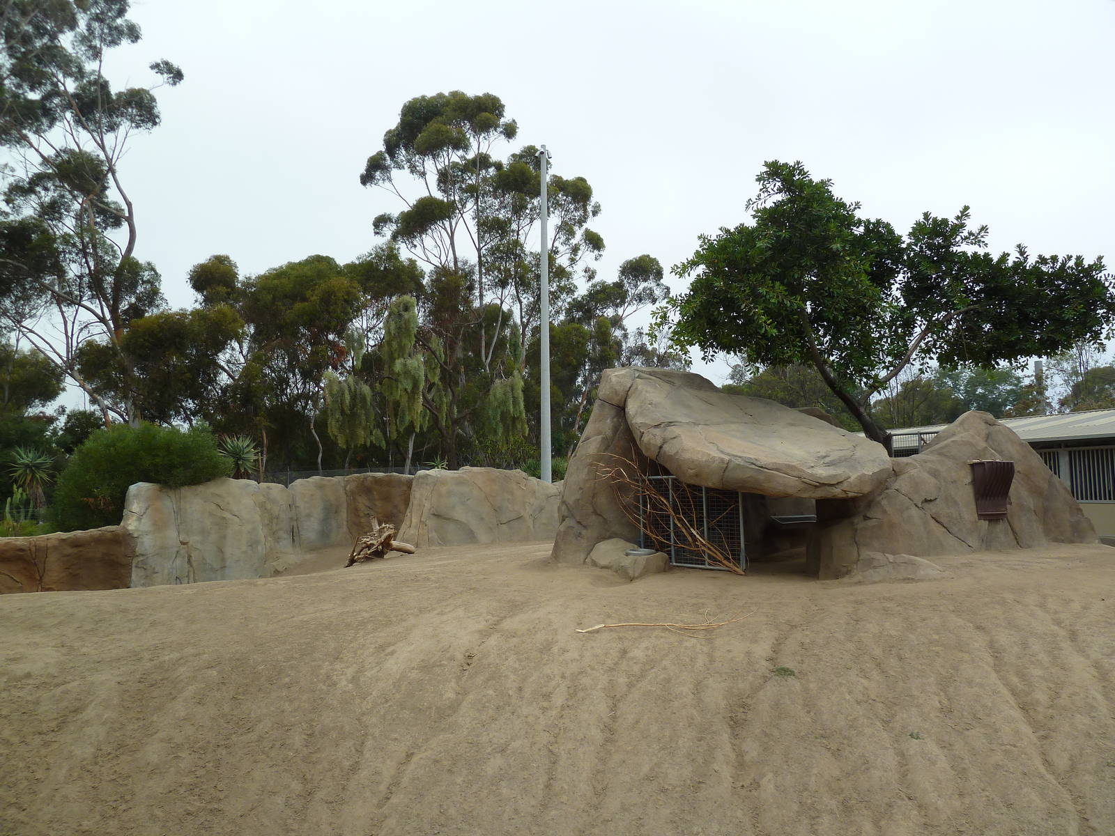 Elephant Odyssey - Pronghorn/Dromedary/Llama Exhibit